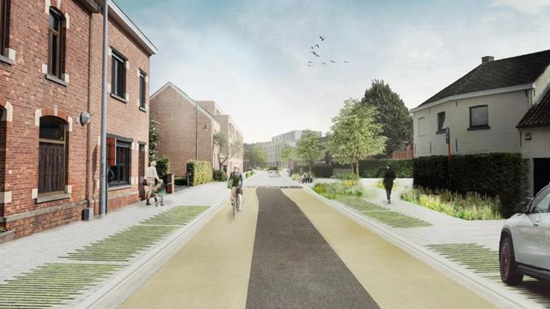 Gemeentebestuur Haacht wil heraanleg Zoellaan volledig anders aanpakken: "We starten opnieuw van nul"