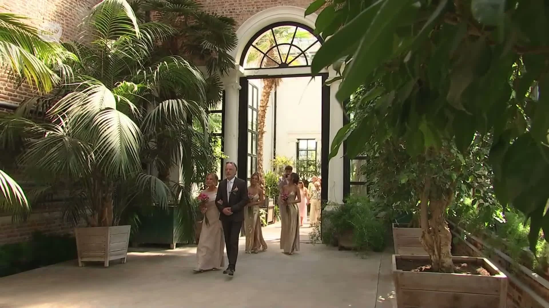 Eerste koppels trouwen in oranjerie in Leuvense kruidtuin: "Magnifiek, wie kan dat zeggen later?"