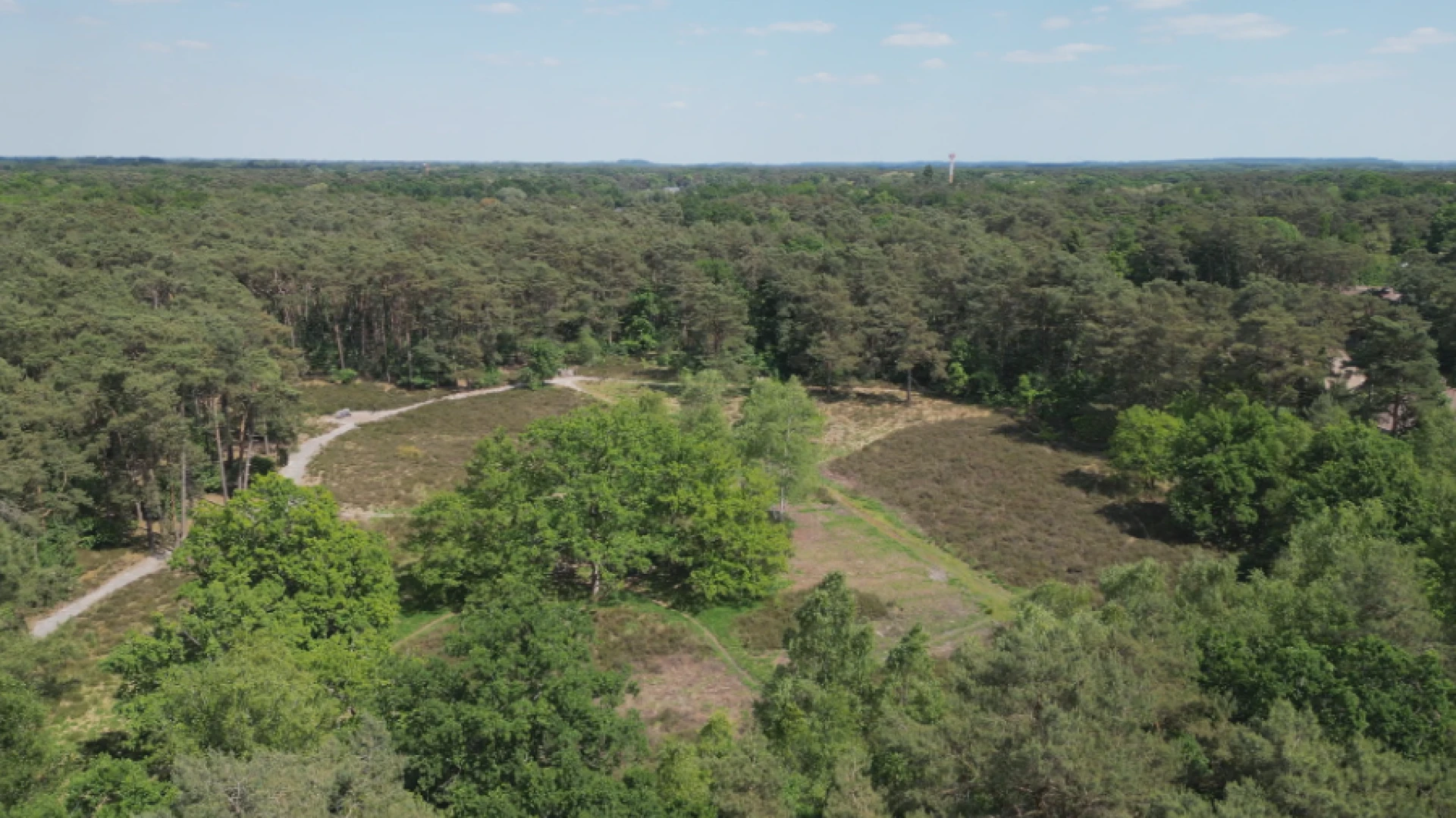 Code rood voor brandgevaar in Pommelsven en Kruisheide Keerbergen: "Bij een brand is meteen een tiental huizen bedreigd"