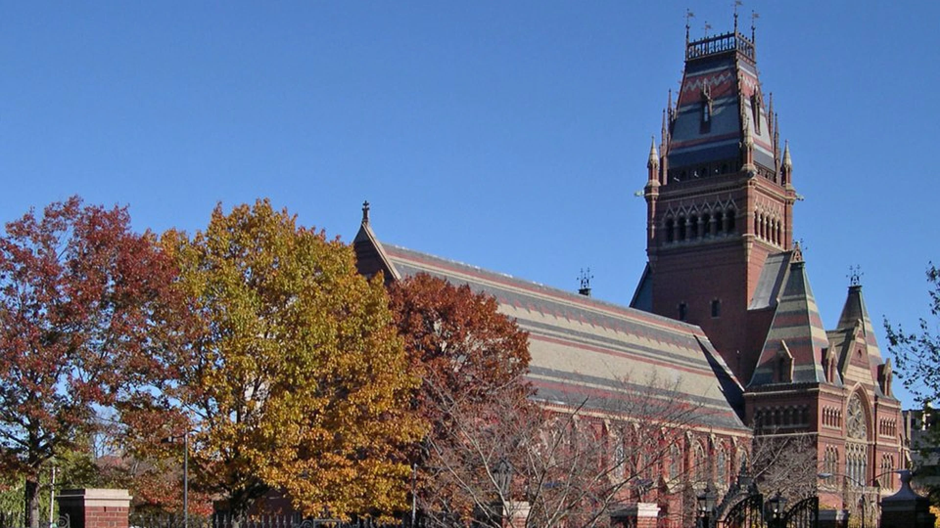 5 studenten van KU Leuven mogen mogelijk geen les meer volgen aan Harvard-universiteit door verbod Donald Trump