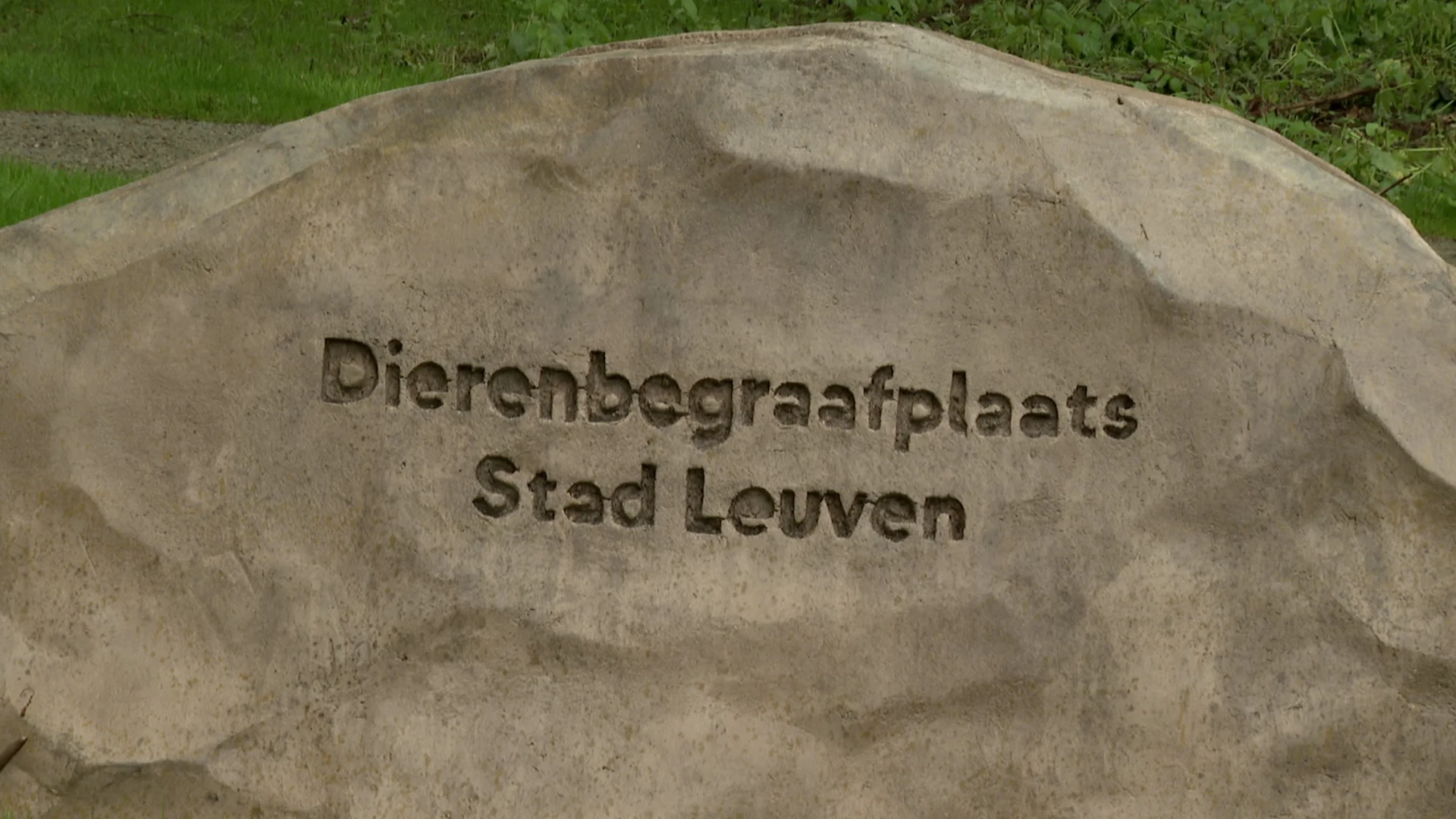 Al meer dan 40 huisdieren begraven op dierenbegraafplaats in Kessel-Lo