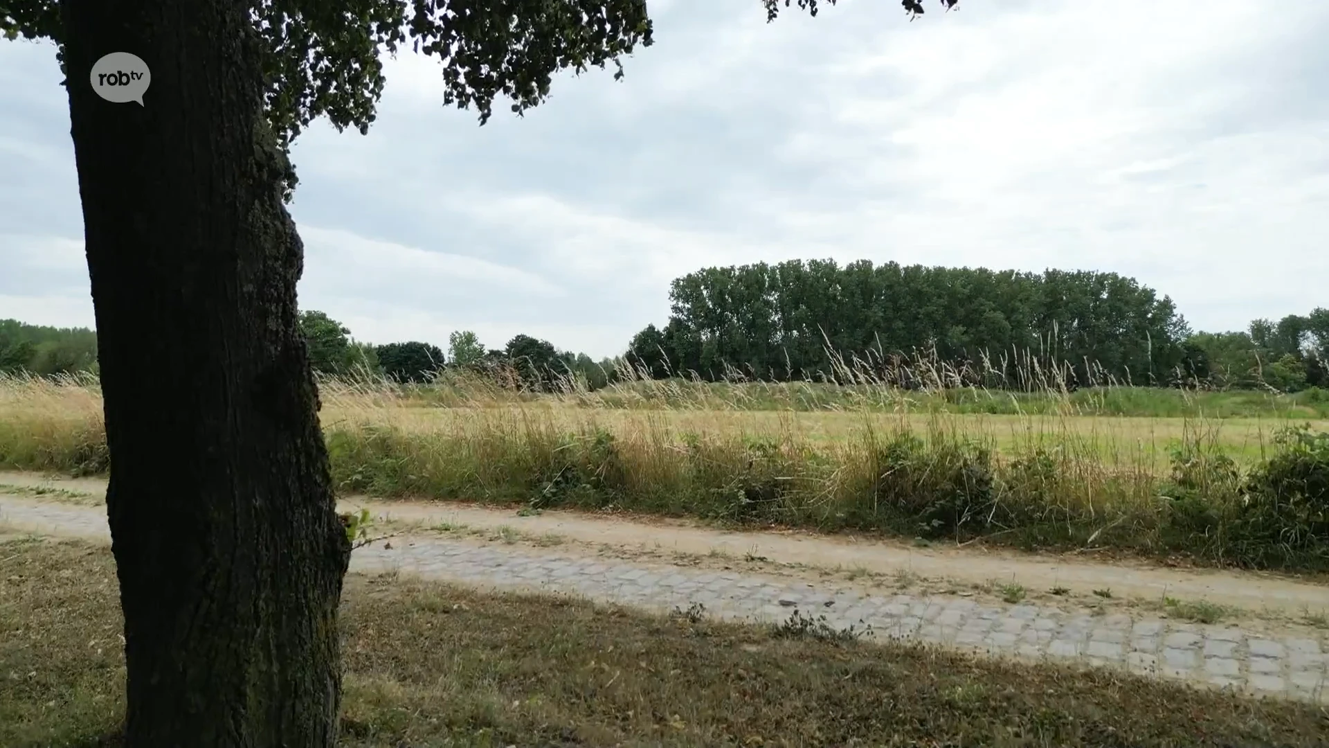 Werken sportsite langs de Bruul in Holsbeek gaan dit najaar van start: "Padelclub betaalt meer dan de helft van het kantinegebouw"