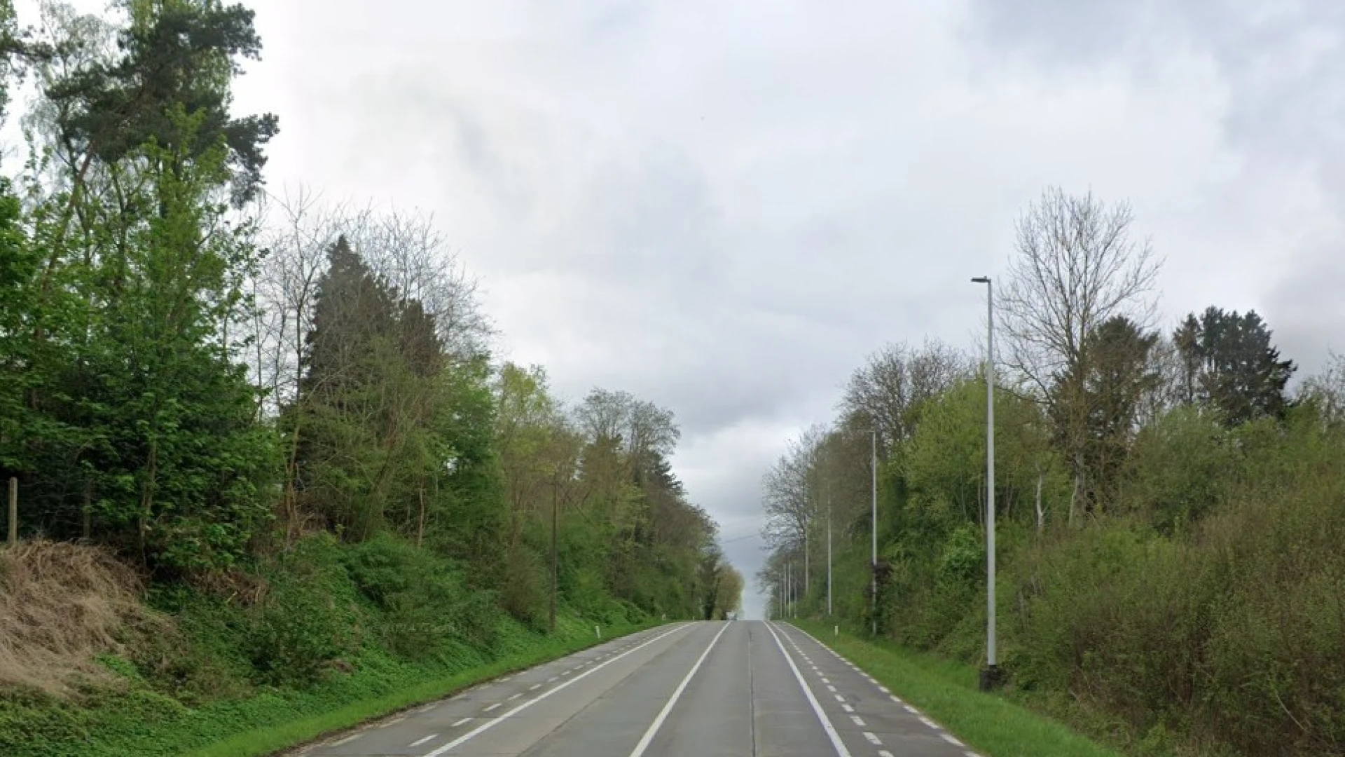 Agentschap Wegen en Verkeer kapt vanaf donderdag zes bomen op Brusselsesteenweg in Herent, hinder tot zondag