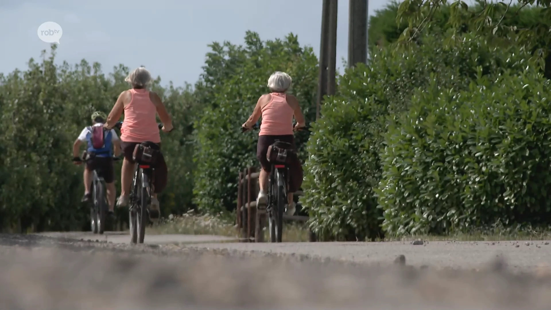 Duizenden sportievelingen kruisen per fiets onze regio door tijdens de Hagelandse Gordel