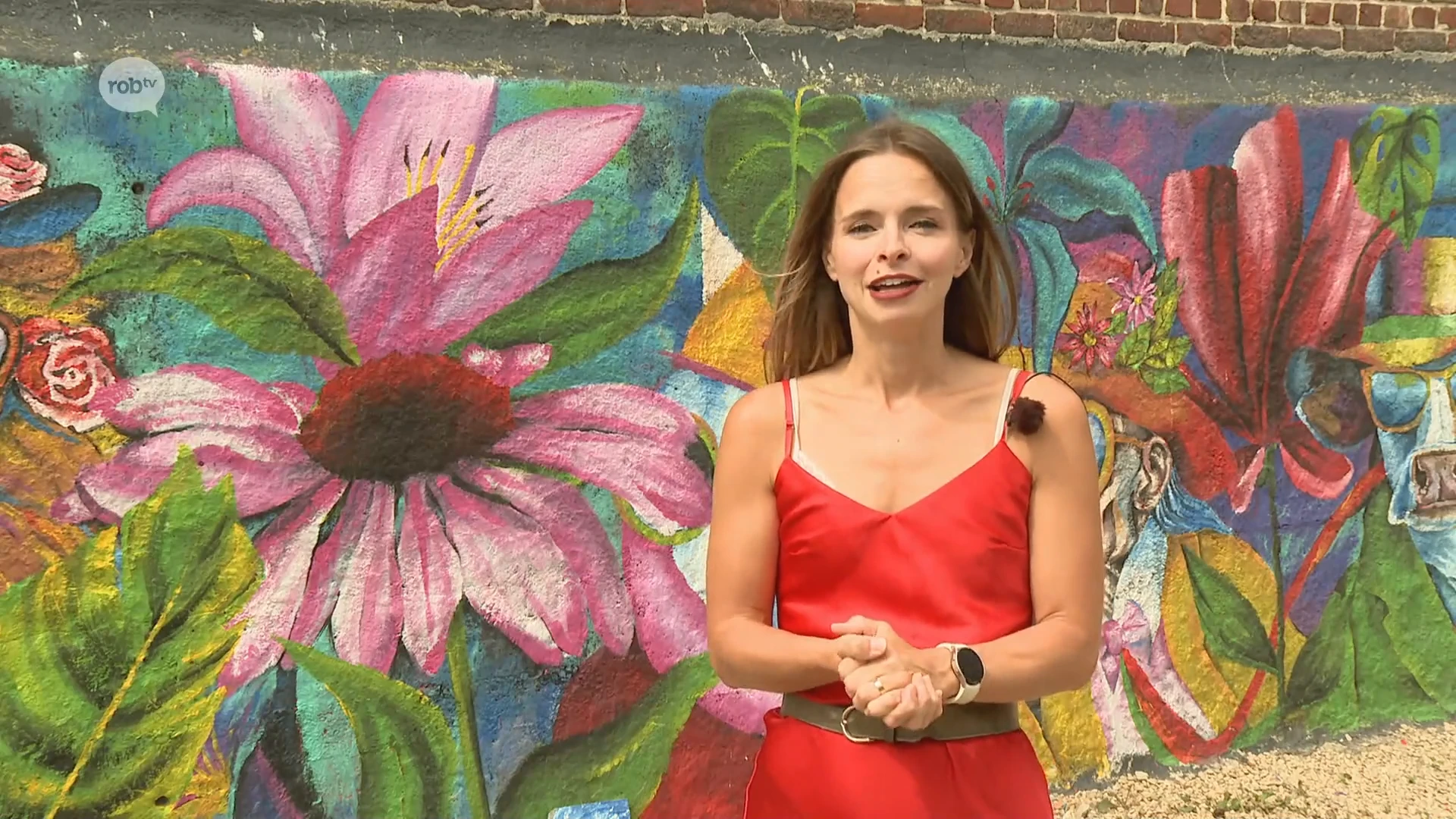 Katrijn uit Tienen tovert eigen gevel om tot muurschildering: "Wil andere mensen gelukkig maken"