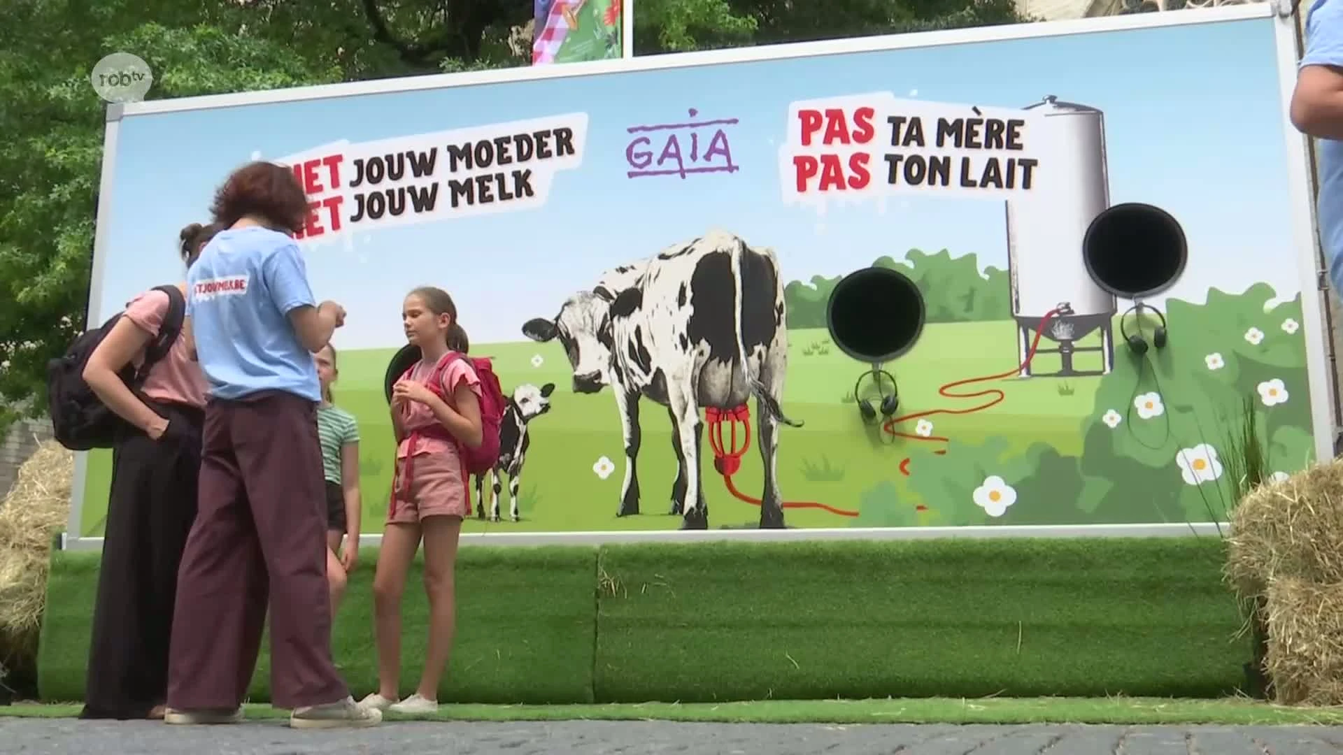 Gaia voert actie op Grote Markt in Leuven tegen dierlijke melkproducten: "elk jaar 350.000 kalfjes geslacht"
