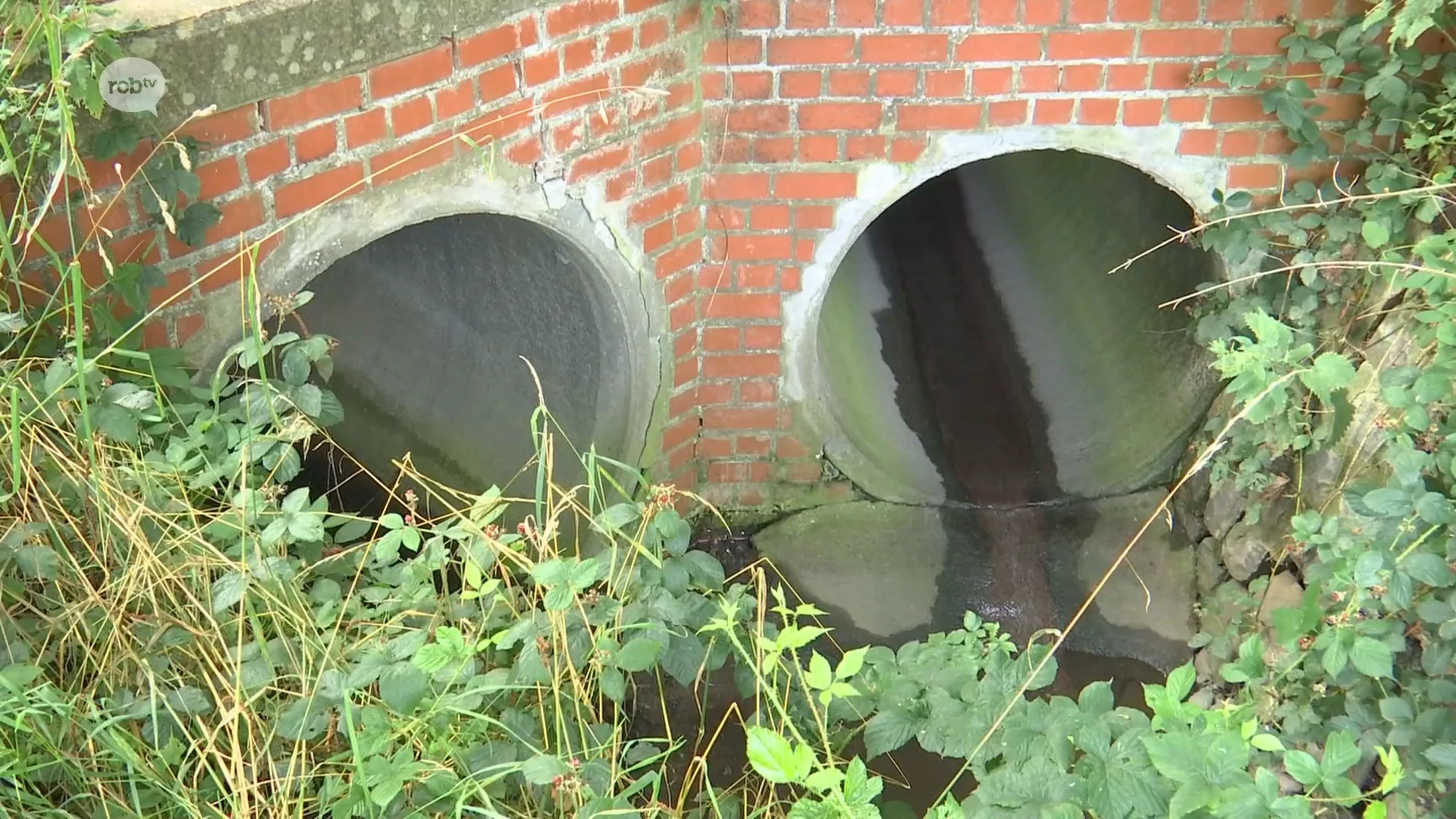 E. coli bacterie aangetroffen in Vaalbeek in Oud-Heverlee: "Aantal huizen heeft zich niet aangesloten op riool"