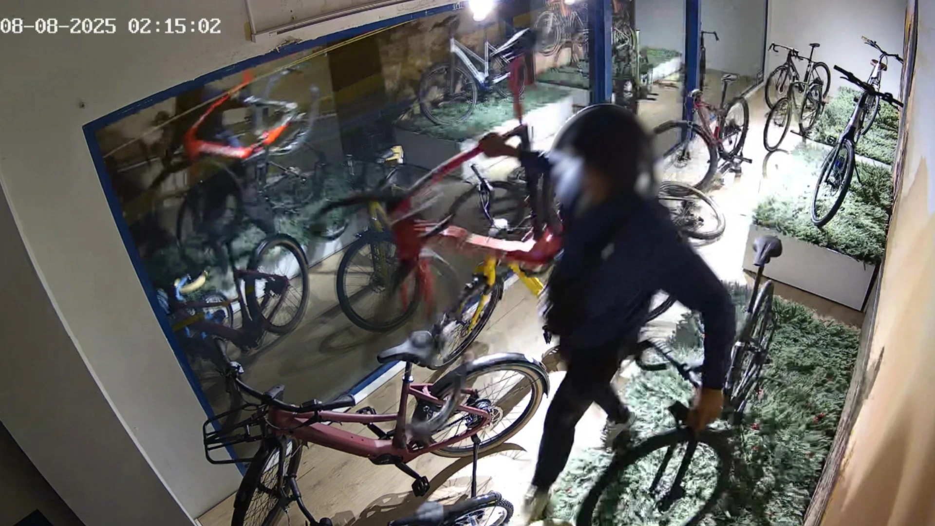 Dieven stelen twee peperdure fietsen bij fietsenwinkel Alec Bike Store in Heverlee: "Zag op camera meteen twee mannen rondlopen"