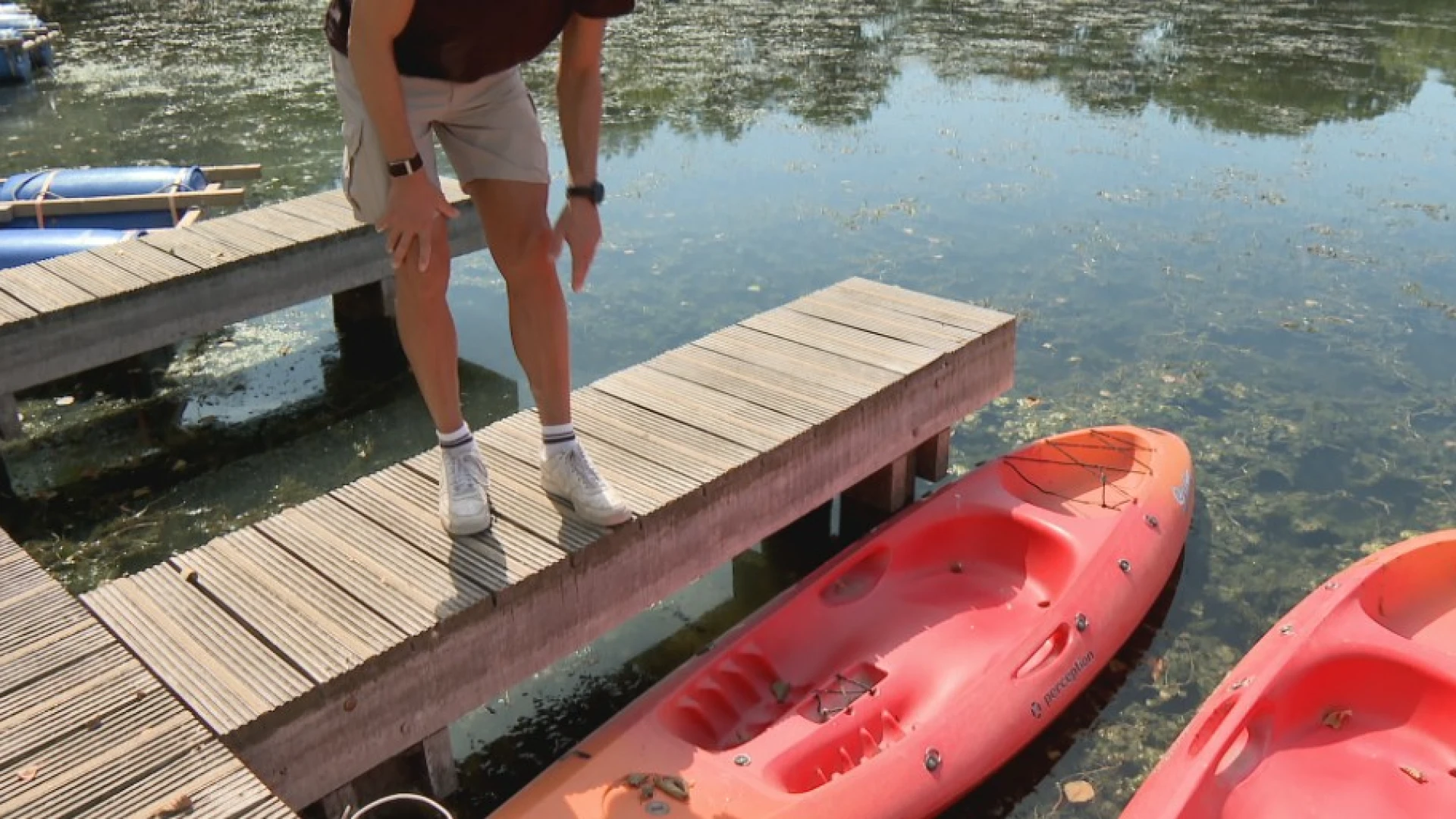 Provinciedomein Halve Maan in Diest sluit roeivijver voor minimaal 1 week door te lage waterstand