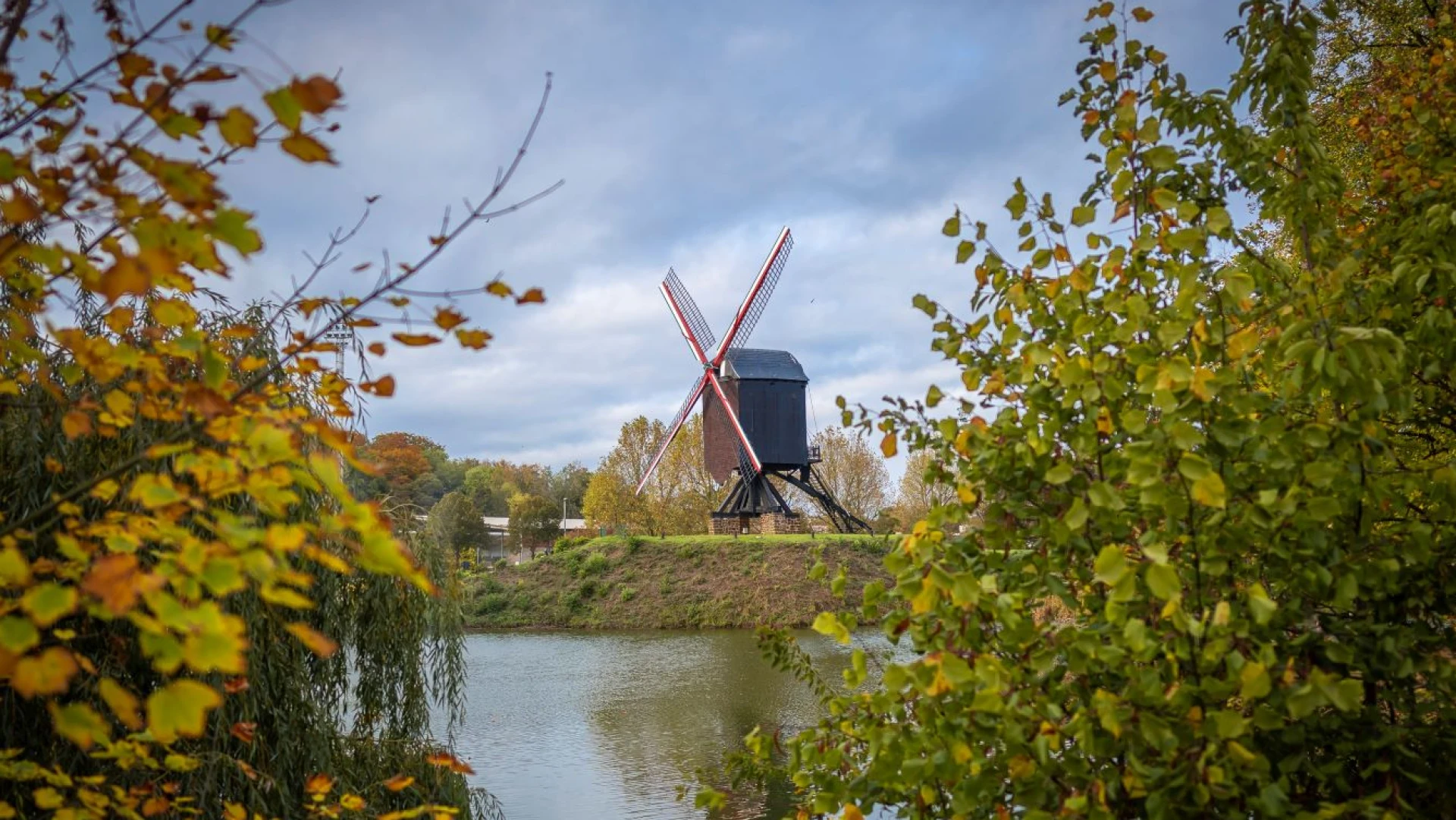 Diestse molen uit 18de eeuw in september toegankelijk voor publiek