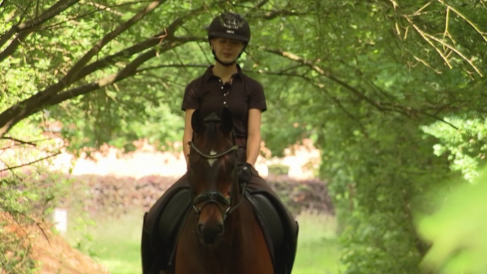 Amber Hennes uit Langdorp wint beker van België in dressuur bij junioren