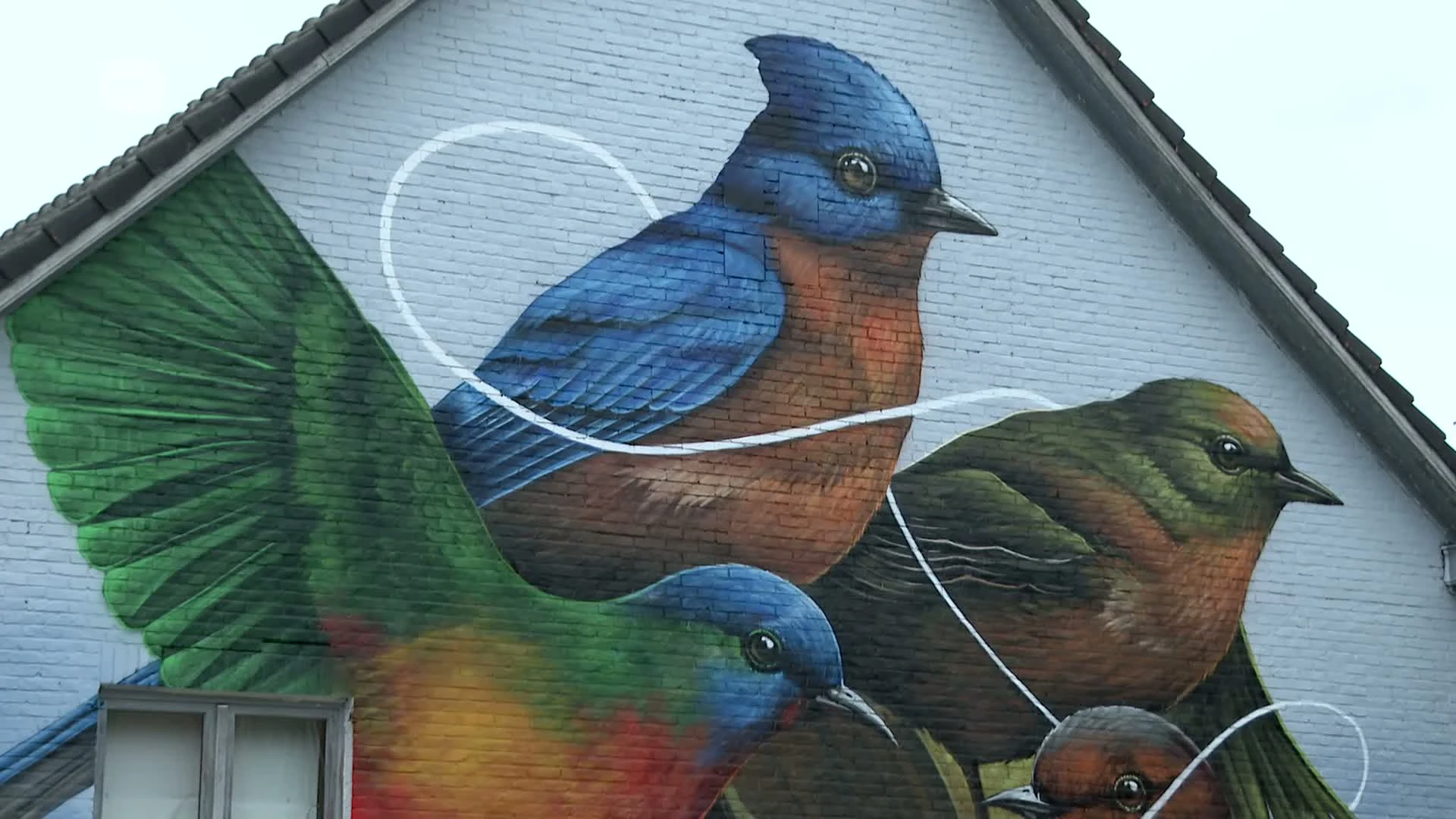 Hoofdafbeelding voor artikel Nieuwe muurschildering van…