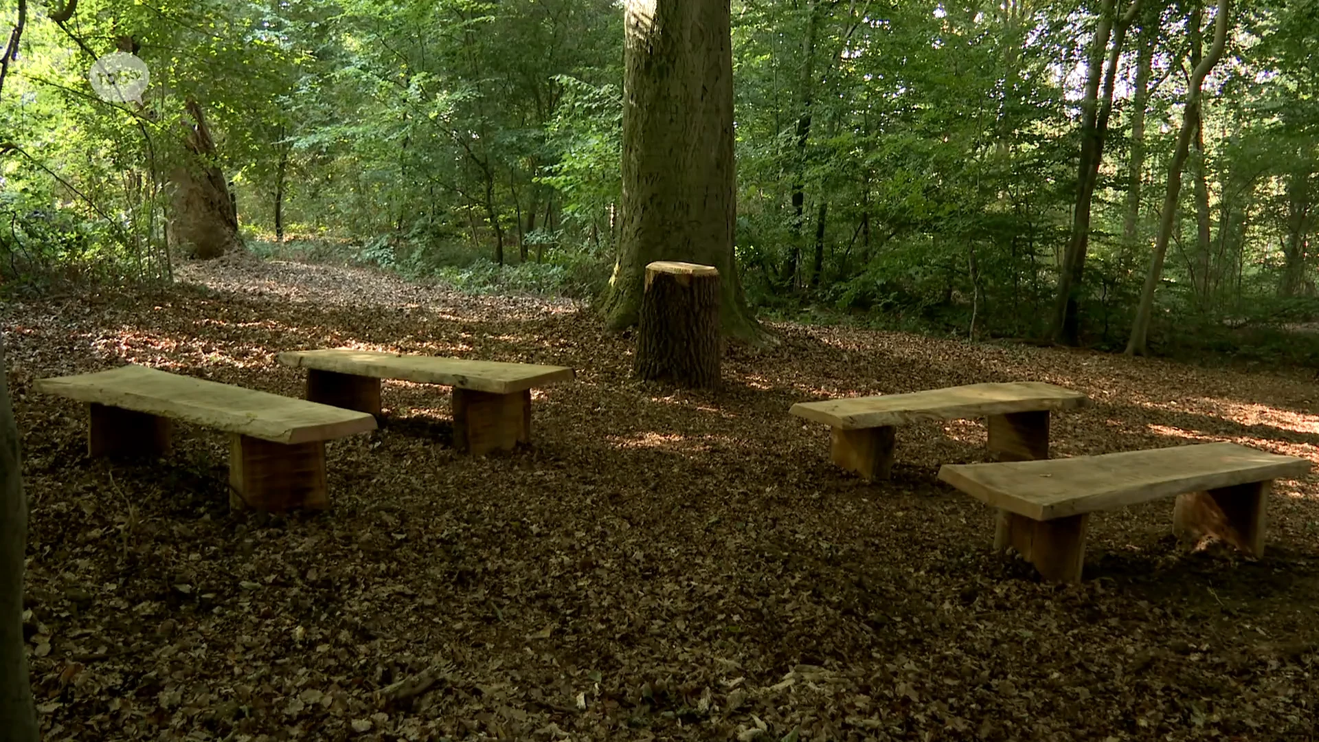 Hoofdafbeelding voor artikel Allereerste natuurbegraafplaats…