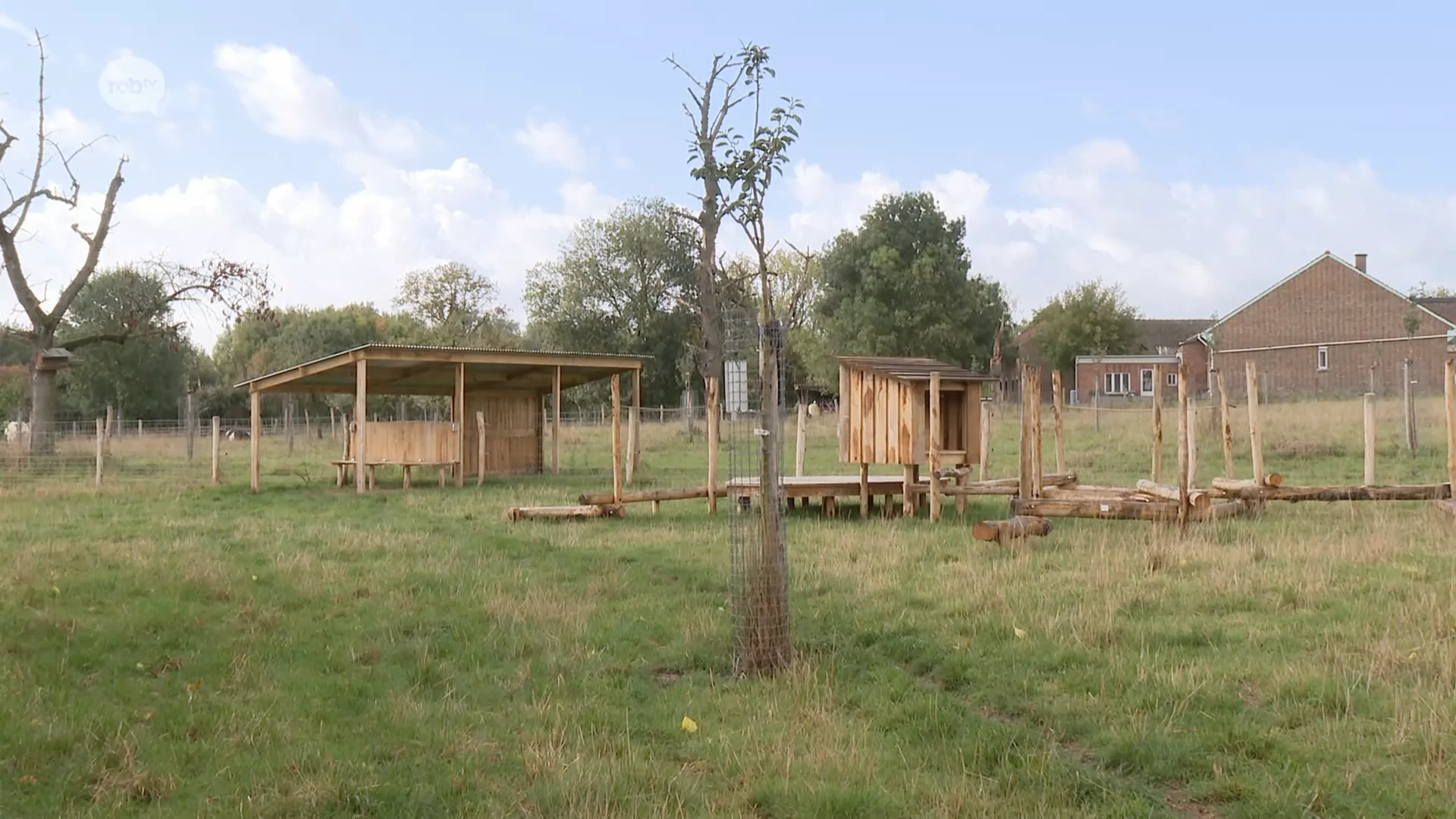 Hoofdafbeelding voor artikel Opening belevingsboomgaard…
