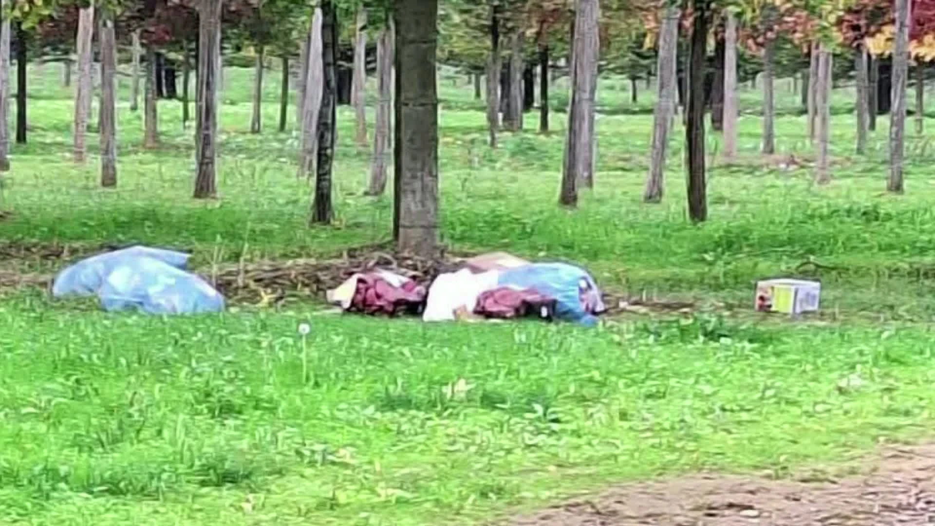Hoofdafbeelding voor artikel Politie Demerdal betrapt man…