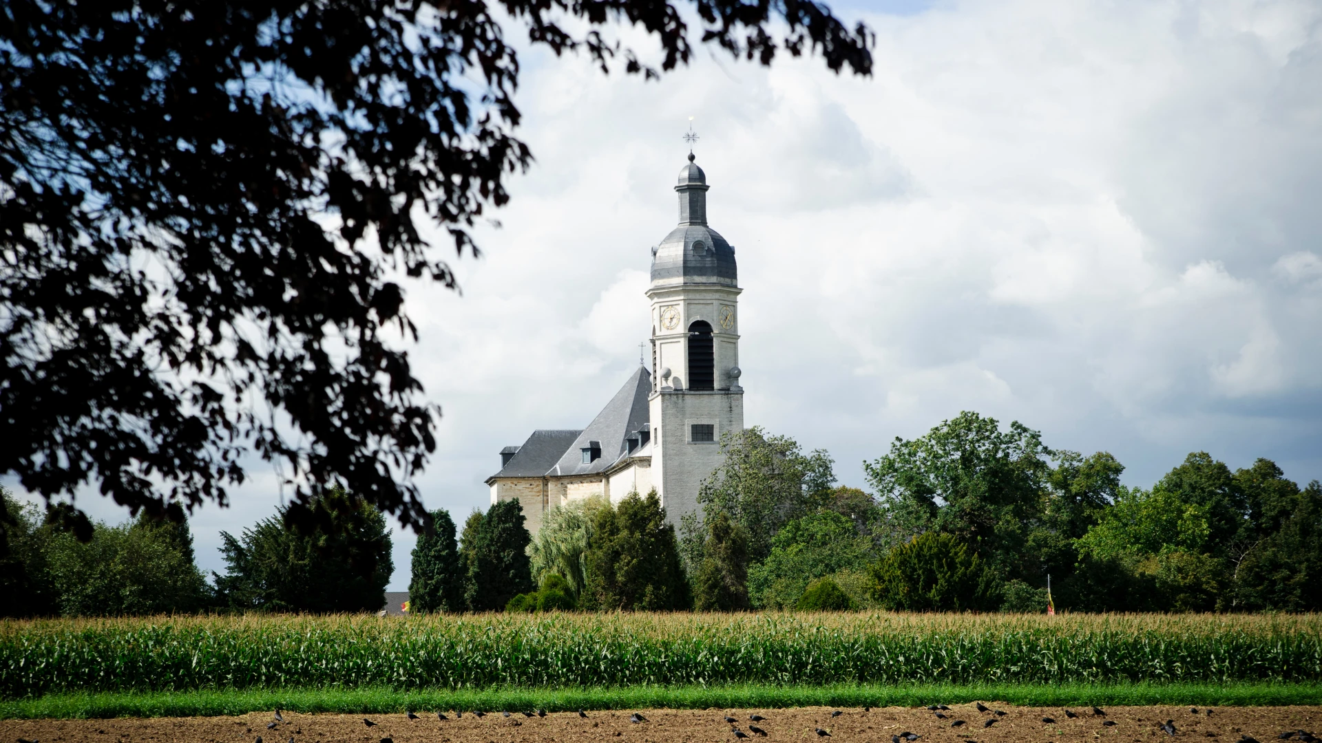 Hoofdafbeelding voor artikel Unieke tentoonstelling geeft…