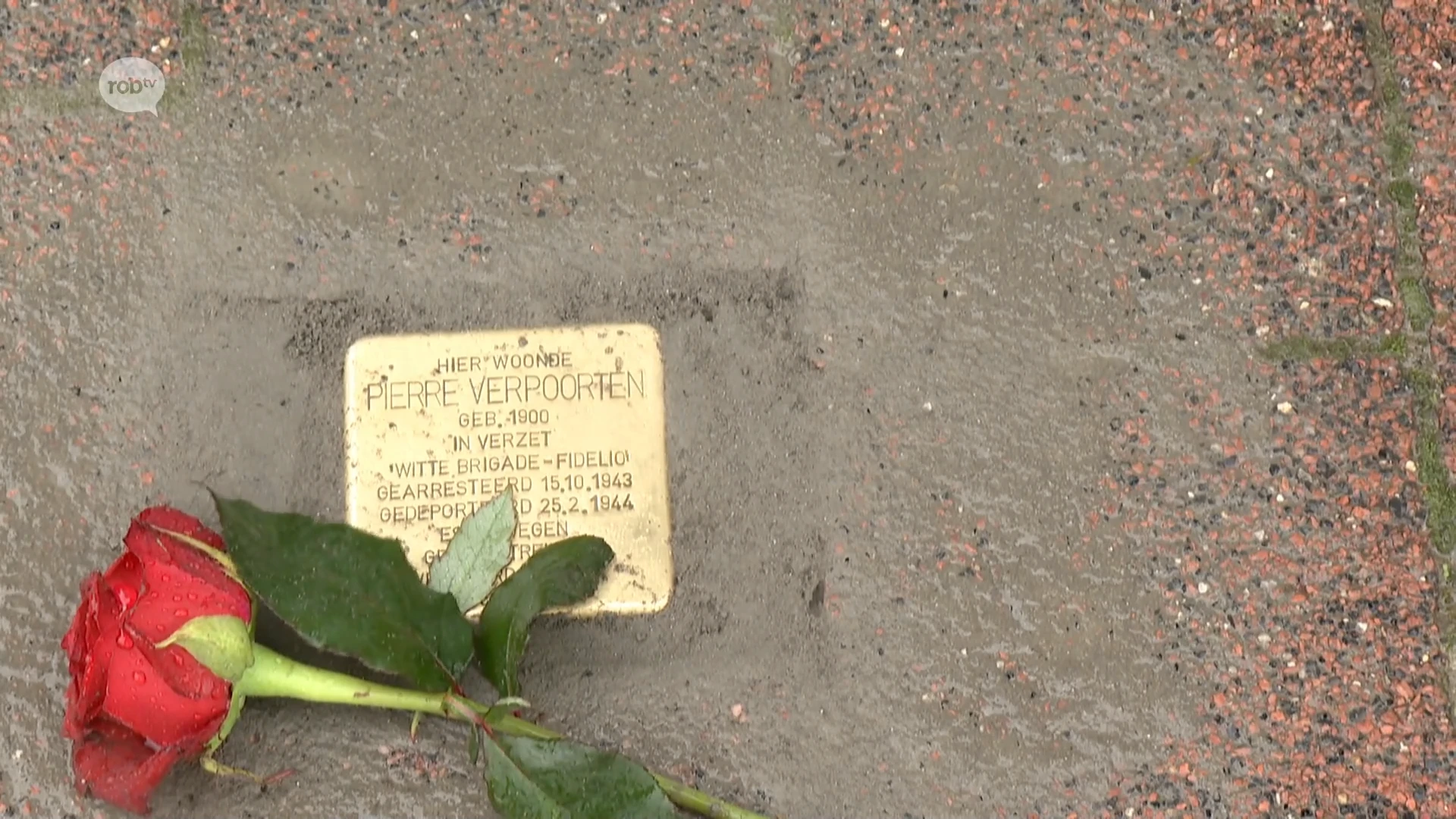 Hoofdafbeelding voor artikel Eerste struikelsteen in Aarschot…