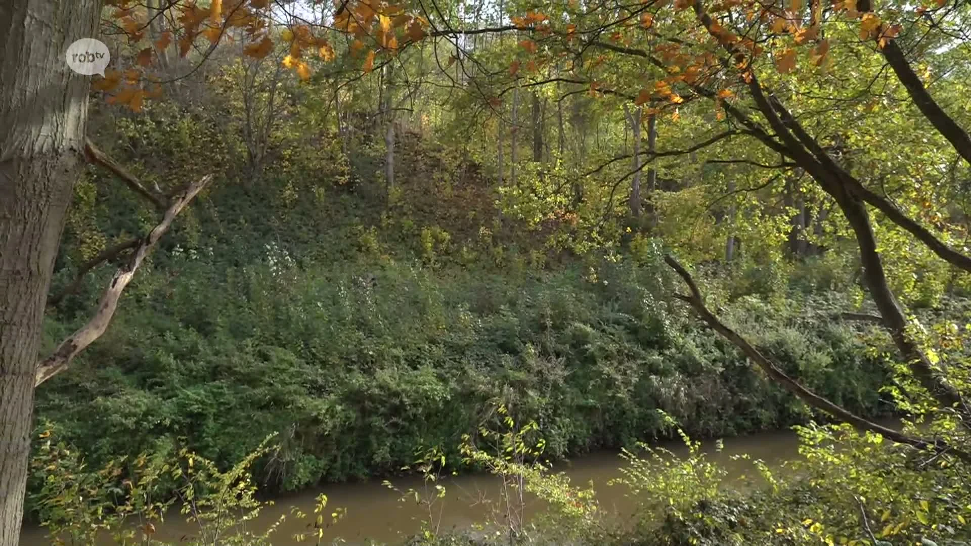 Hoofdafbeelding voor artikel Grote hangbrug over Zwarte…