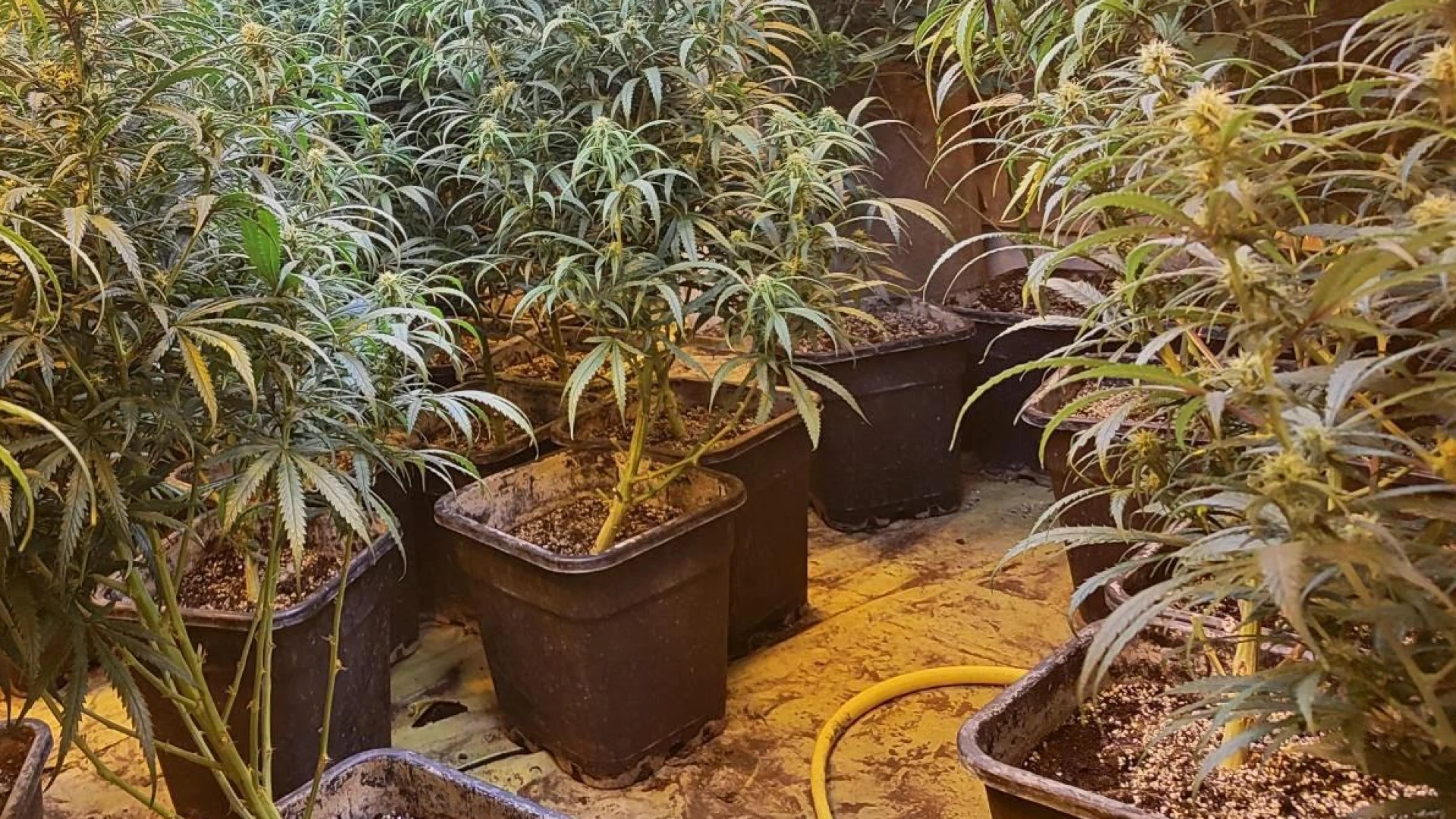 Hoofdafbeelding voor artikel 9 beklaagden riskeren tot…