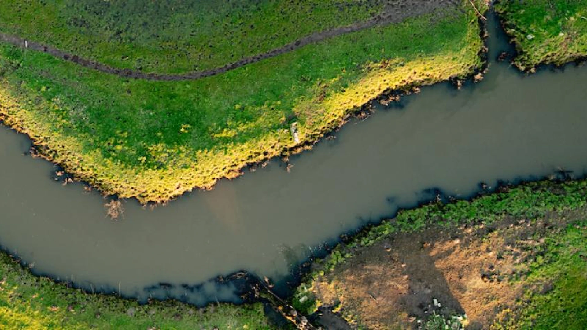 Hoofdafbeelding voor artikel Tijdelijk onttrekkingsverbod…