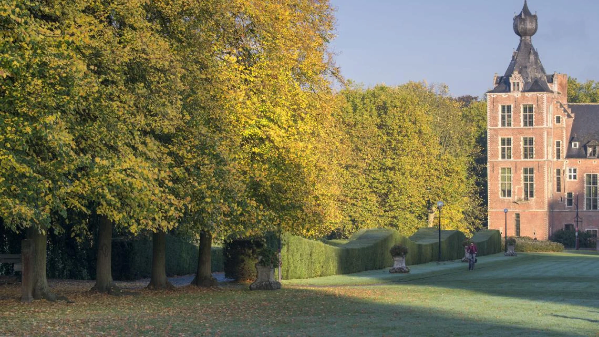 Hoofdafbeelding voor artikel Man (29) die verdacht wordt…