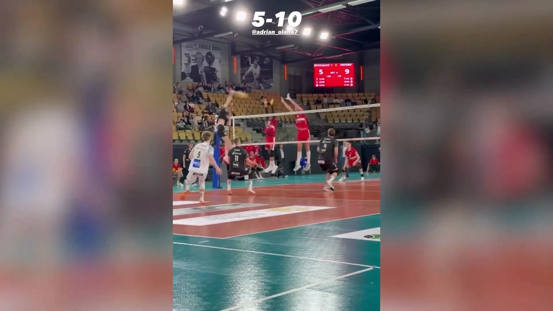 Hoofdafbeelding voor artikel Volley Haasrode Leuven is…