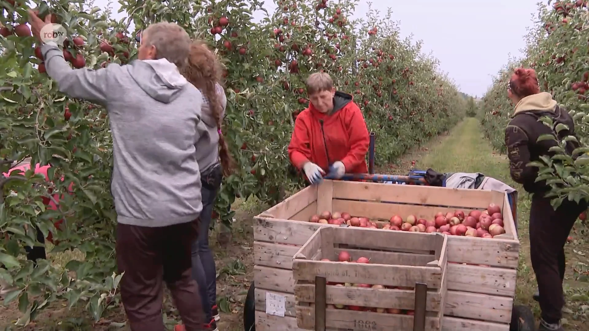 Hoofdafbeelding voor artikel Burgemeester van Zoutleeuw…
