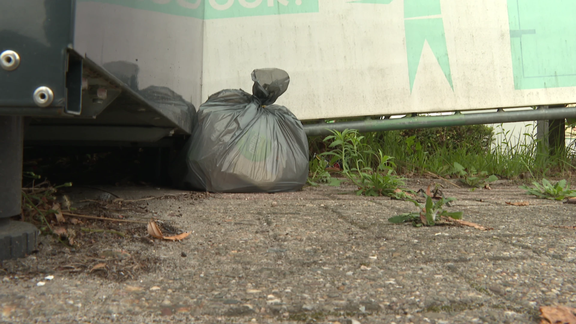 Hoofdafbeelding voor artikel Zoutleeuw plaatst binnenkort…