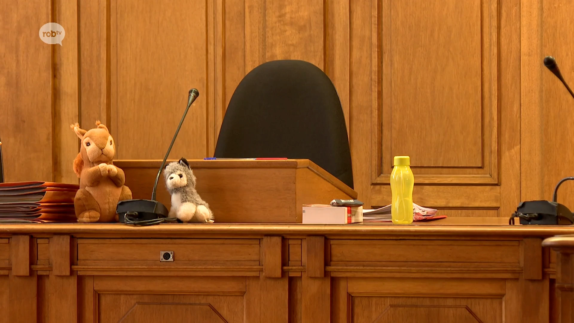 Hoofdafbeelding voor artikel Leuvense rechtbank houdt themazitting…