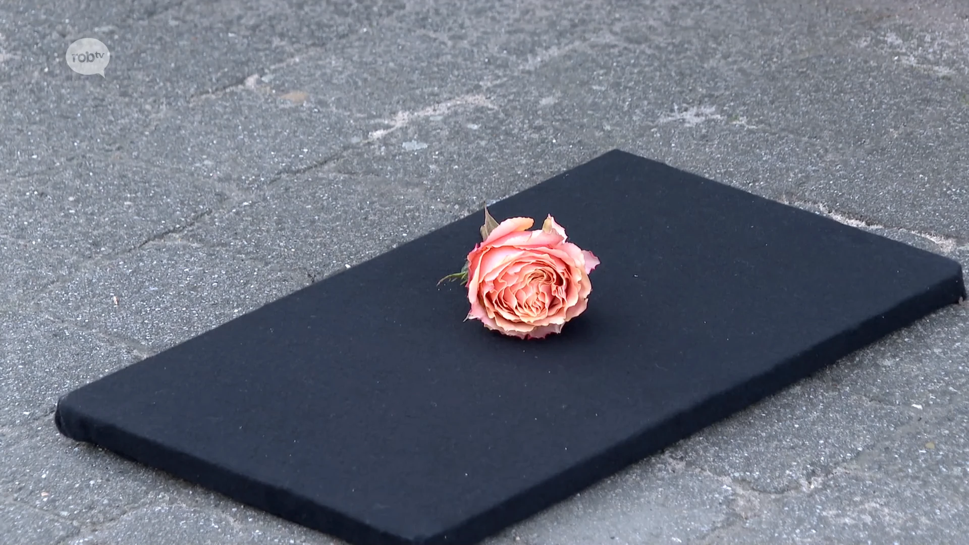 Hoofdafbeelding voor artikel Gemeente Bierbeek plaatst…