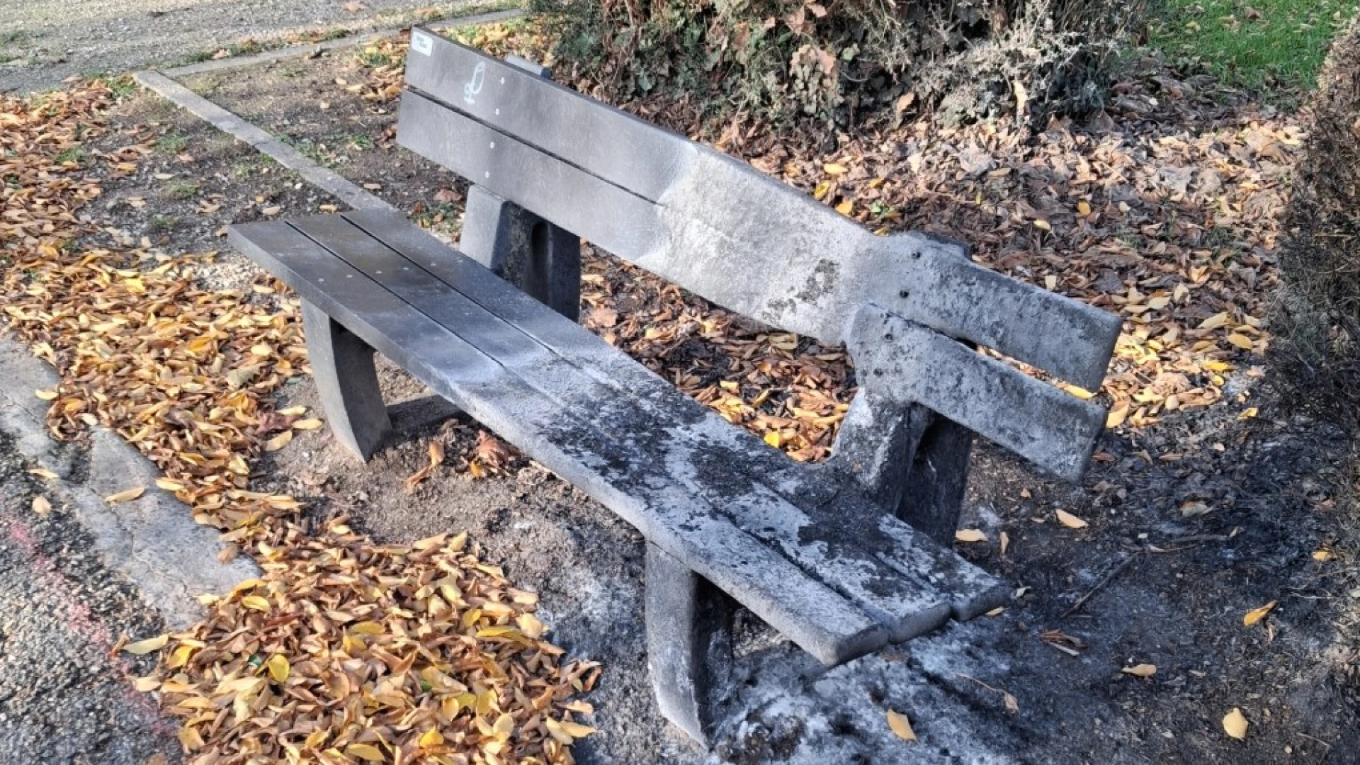 Hoofdafbeelding voor artikel Vandalen vernielen zitbank…