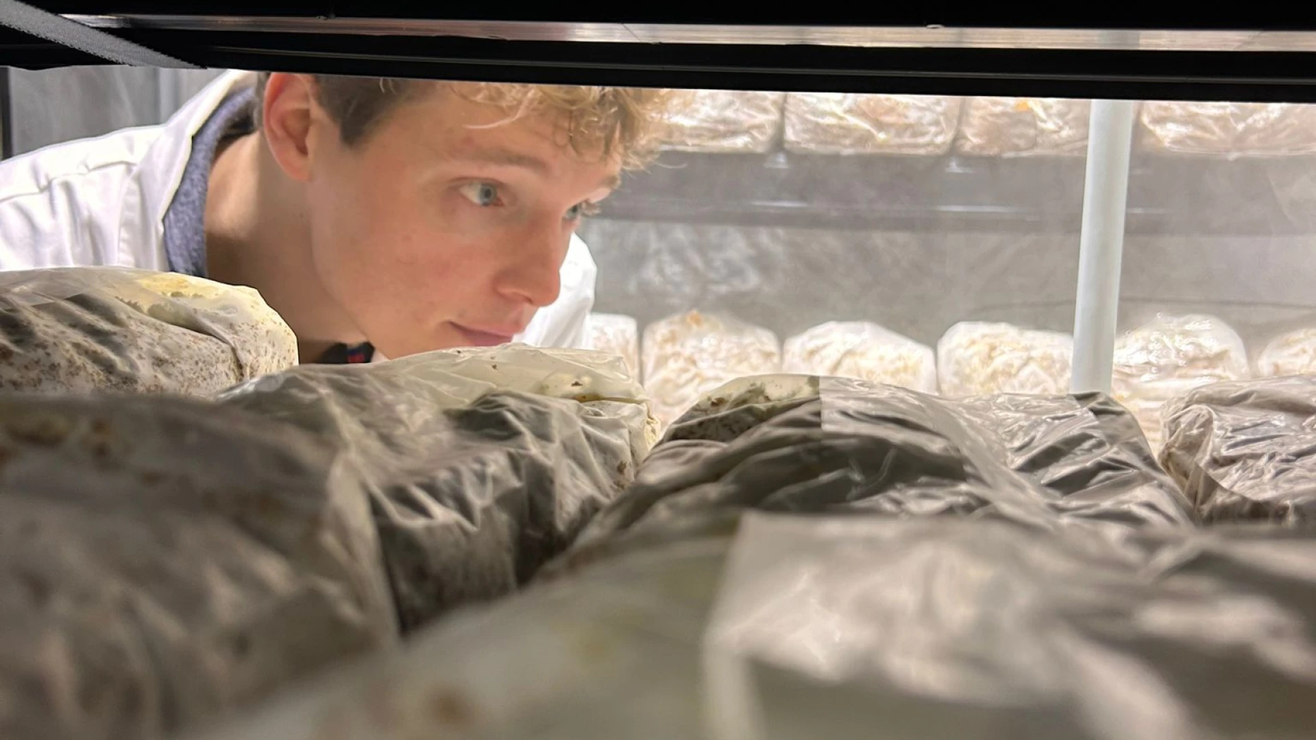 Hoofdafbeelding voor artikel Edward Verbeure kweekt eigen…