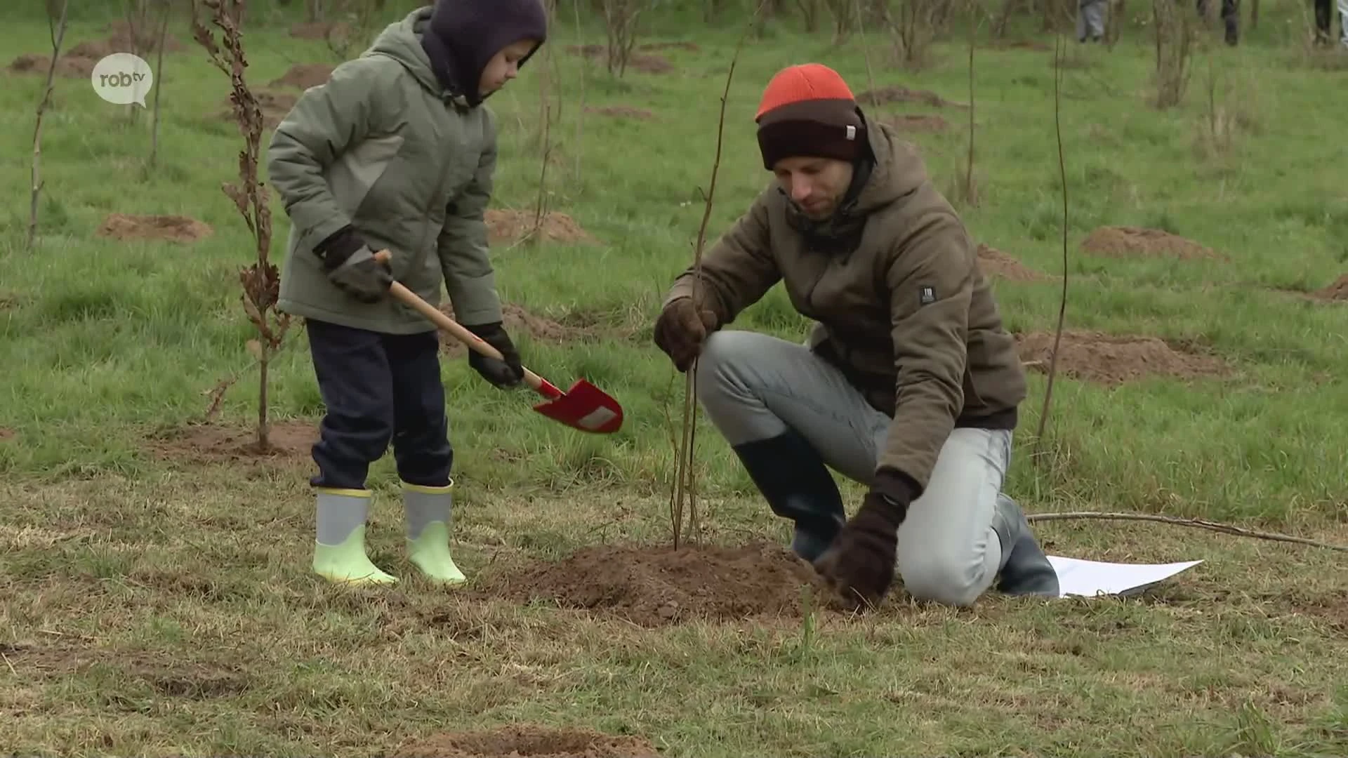 Hoofdafbeelding voor artikel 200 gezinnen planten boom…