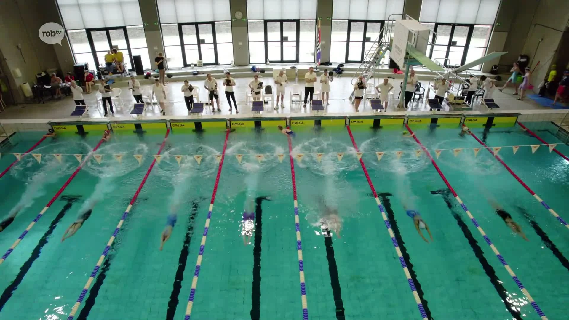 Hoofdafbeelding voor artikel Meer dan 500 zwemmers nemen…