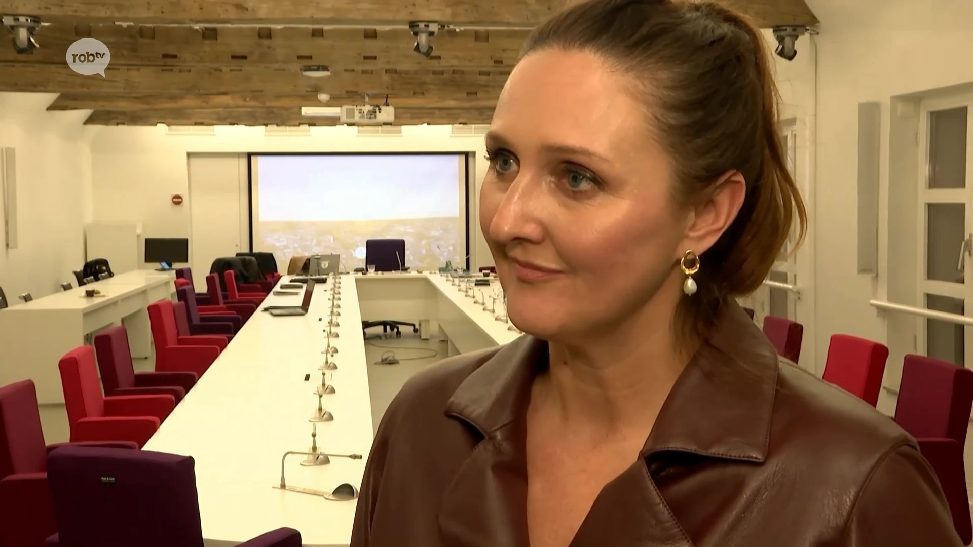 Hoofdafbeelding voor artikel LIVE: "Elke Aarschotse deelgemeente…