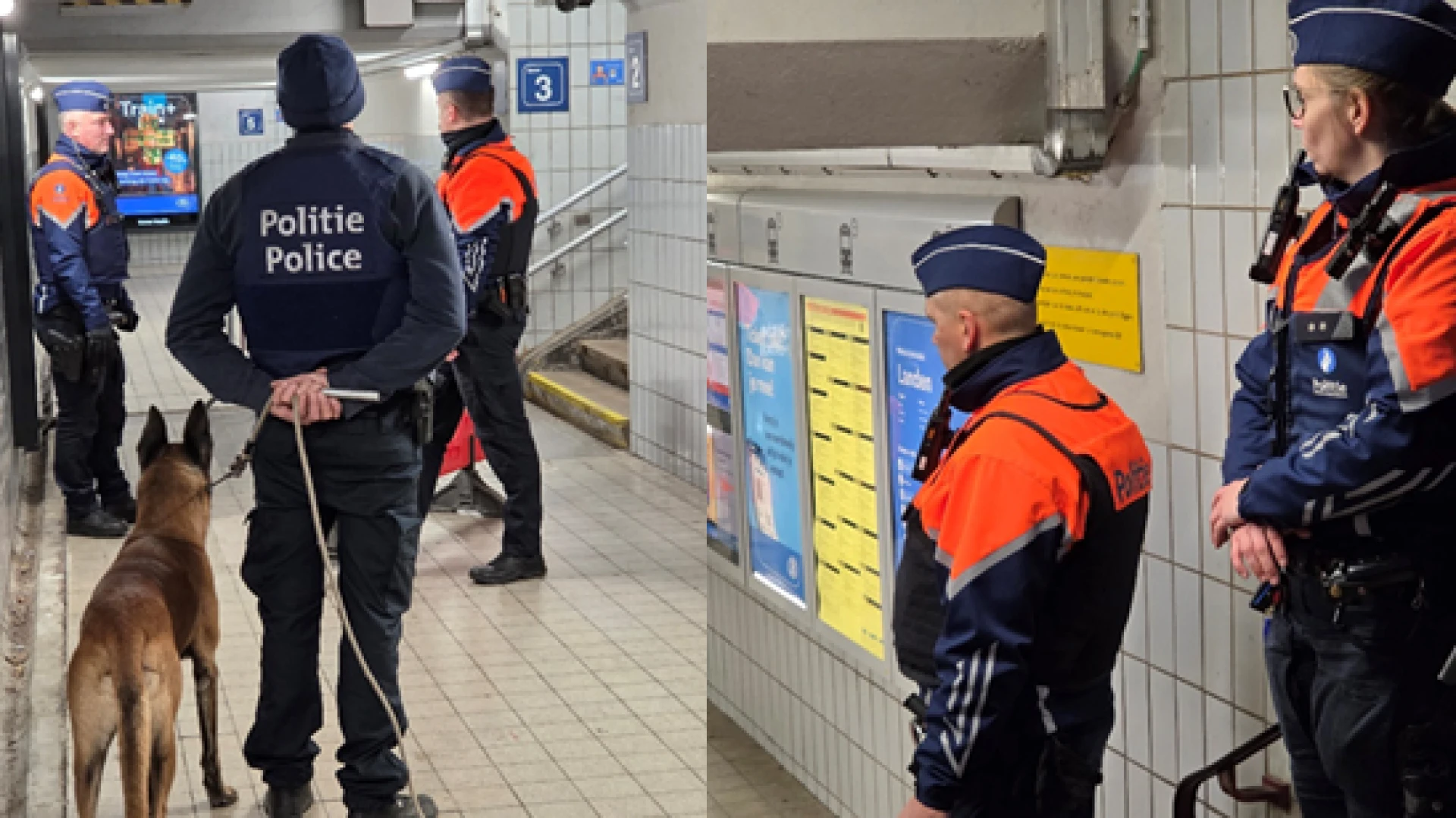 Hoofdafbeelding voor artikel Politiezone Getevallei betrapt…