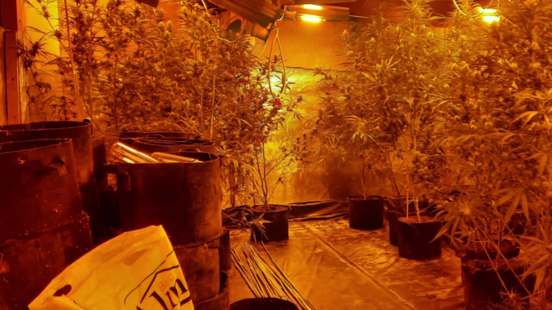 Hoofdafbeelding voor artikel Spilfiguren Albanese drugsbende…