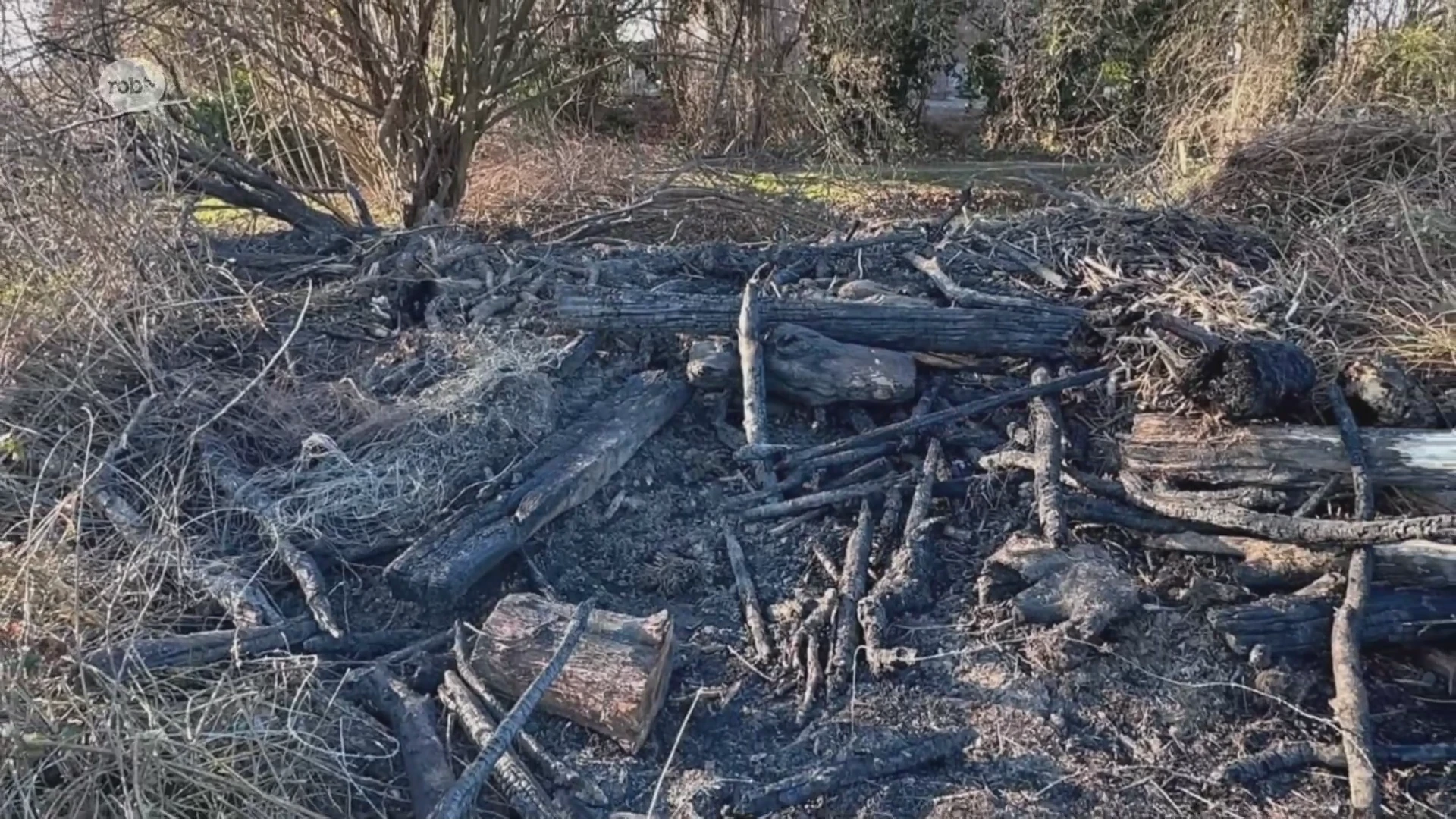 Hoofdafbeelding voor artikel Struiken en boom vatten vuur…