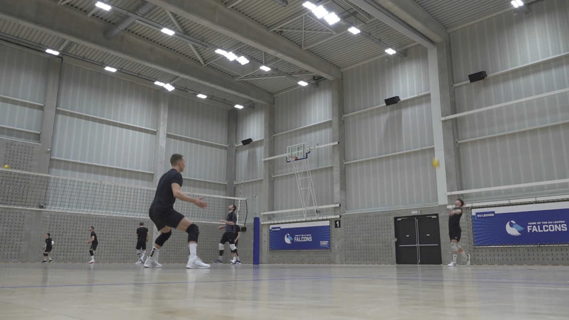 Hoofdafbeelding voor artikel Volley Haasrode Leuven ontvangt…