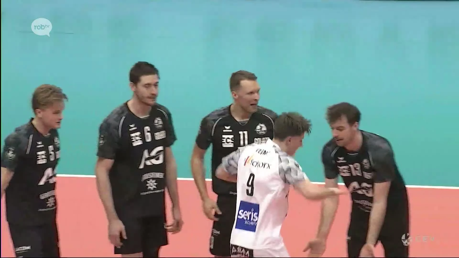Hoofdafbeelding voor artikel Volley Haasrode Leuven kan…