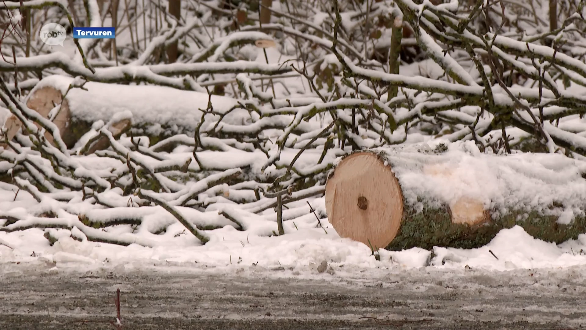 Hoofdafbeelding voor artikel Agentschap Wegen en Verkeer…