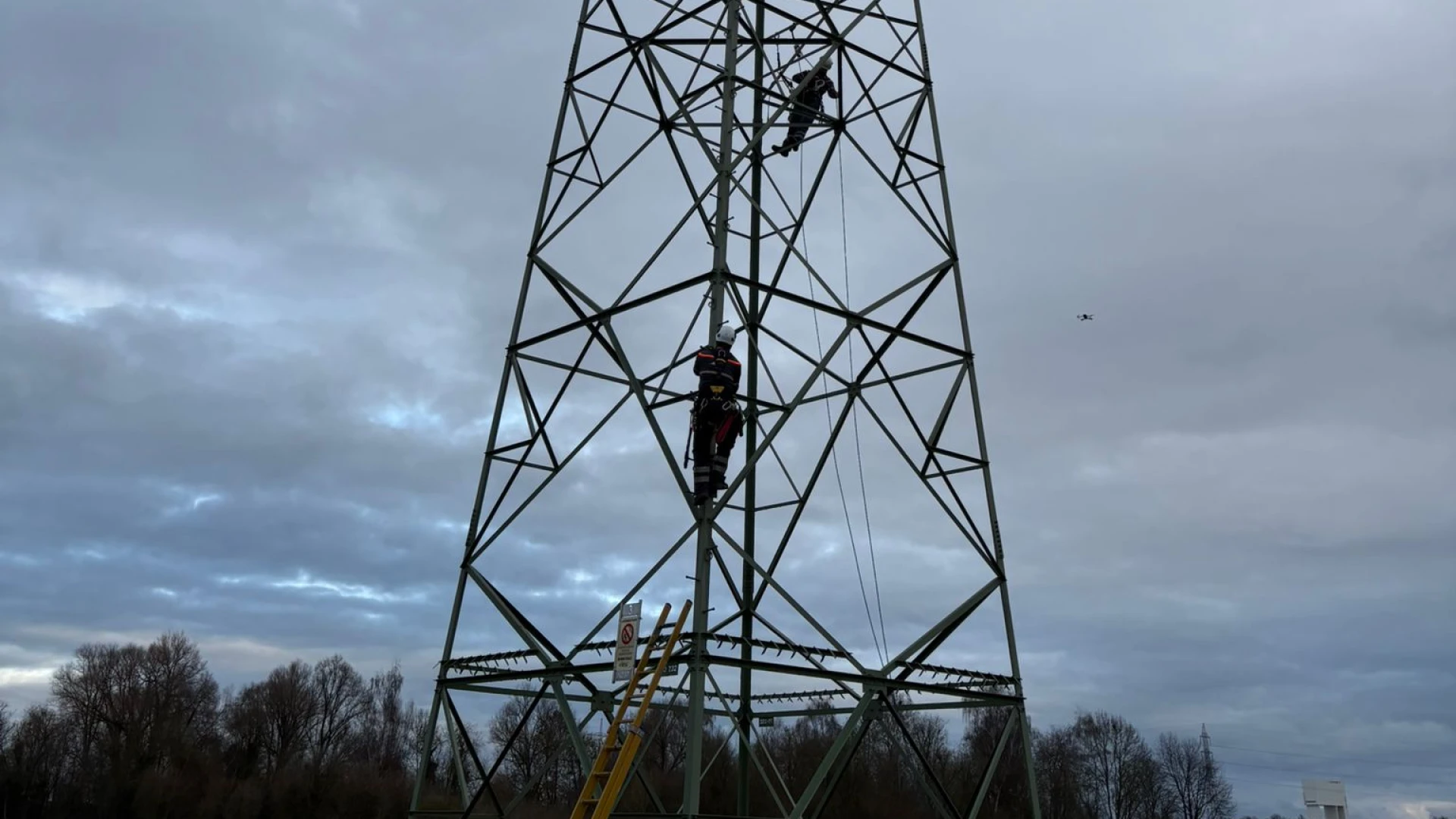 Hoofdafbeelding voor artikel Nestkastjes voor torenvalken…