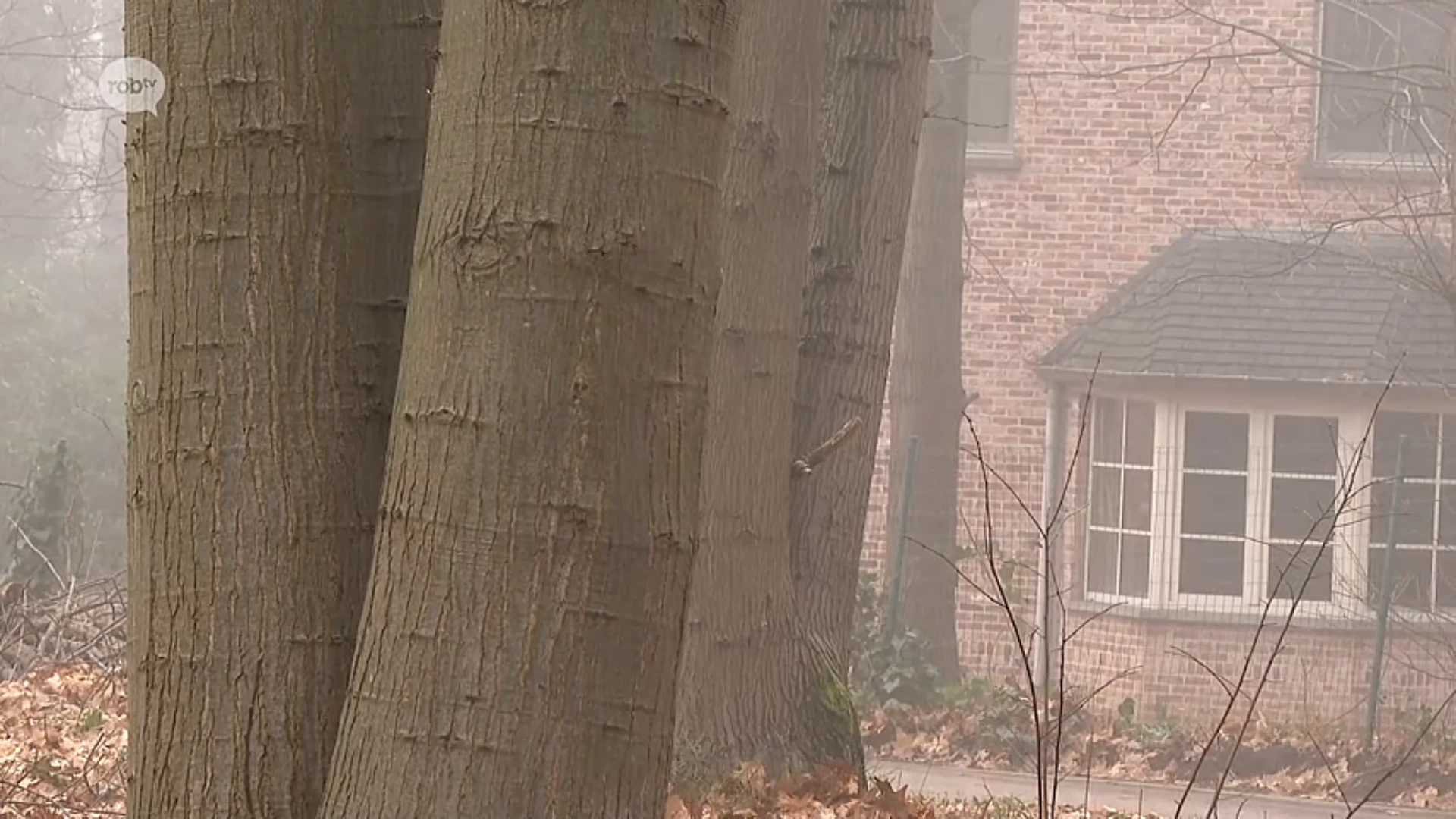 Hoofdafbeelding voor artikel Provincie keurt vergunningsaanvraag…