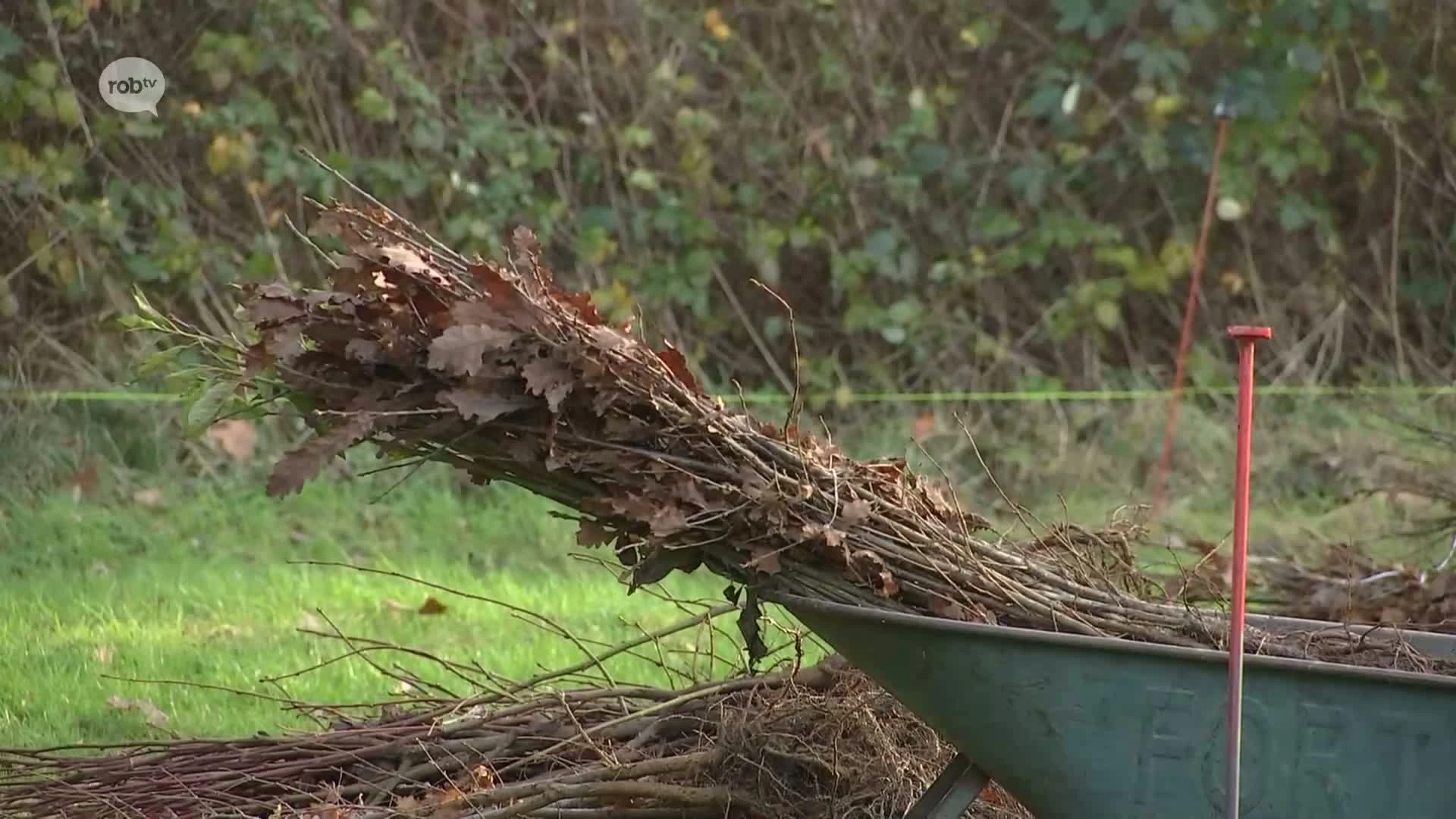 Hoofdafbeelding voor artikel Schepen in Leuven en Vlaams…
