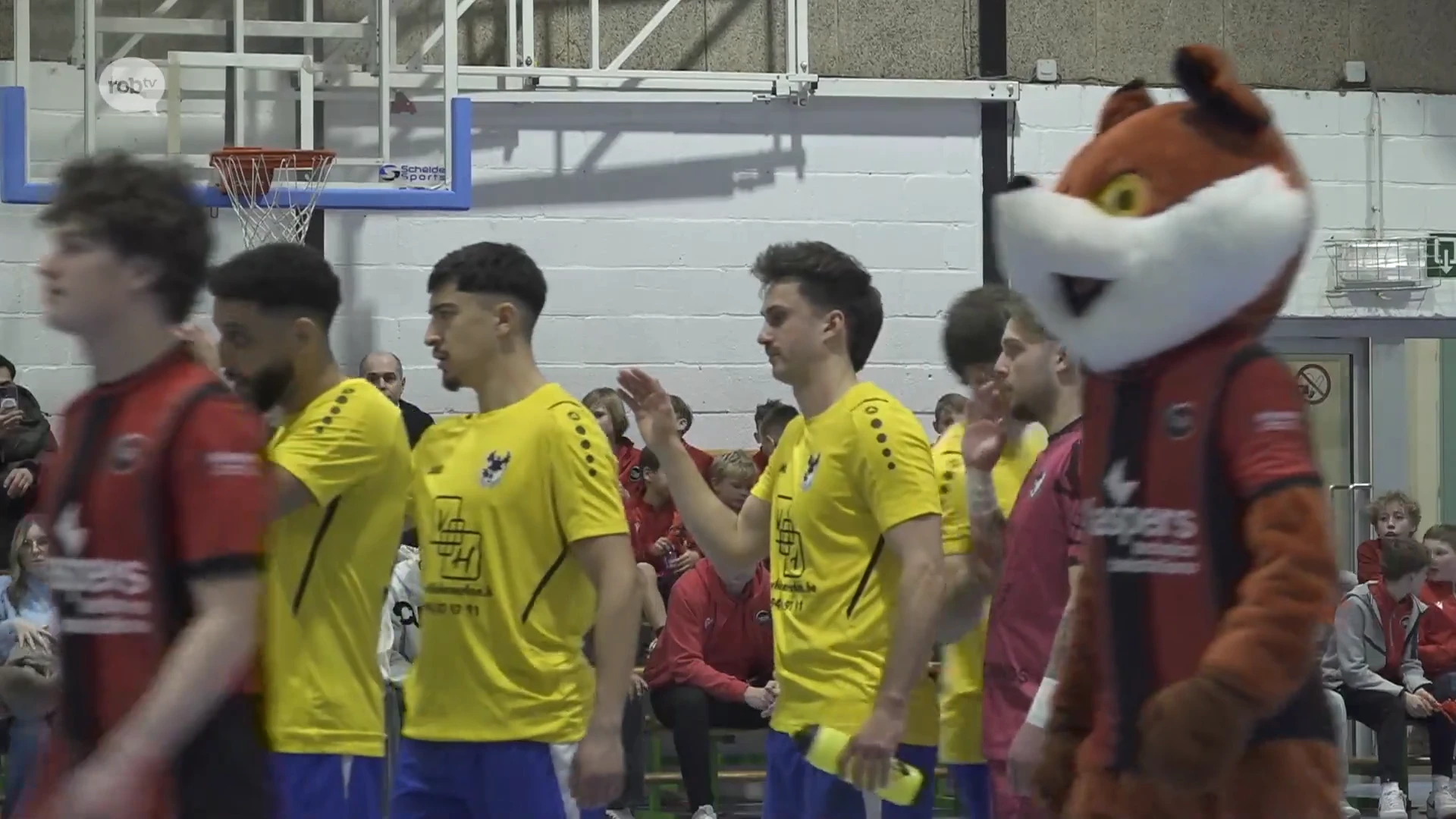 Hoofdafbeelding voor artikel Fortuna Landen en Black Wolves…