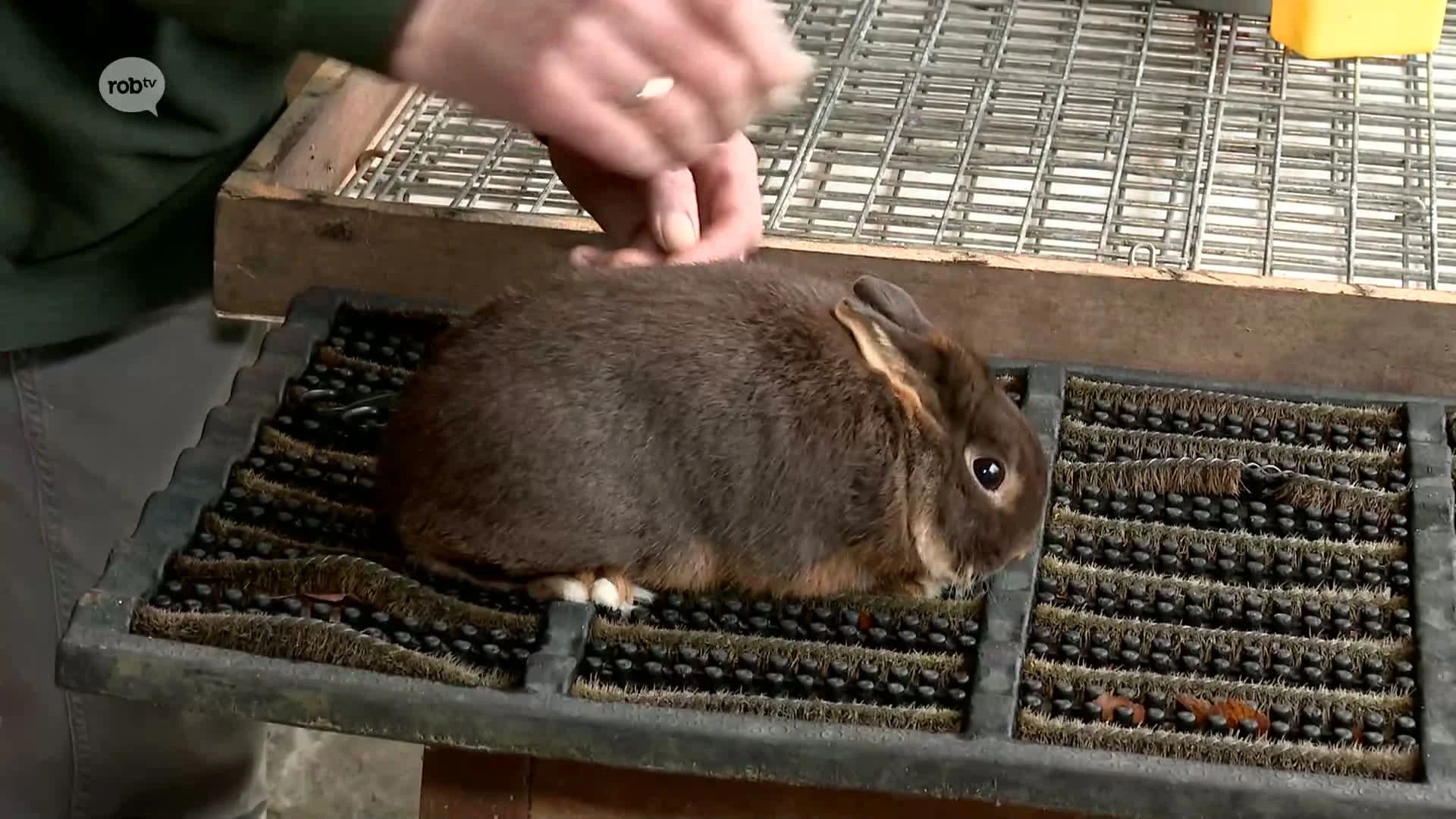 Hoofdafbeelding voor artikel Grote tentoonstelling voor…