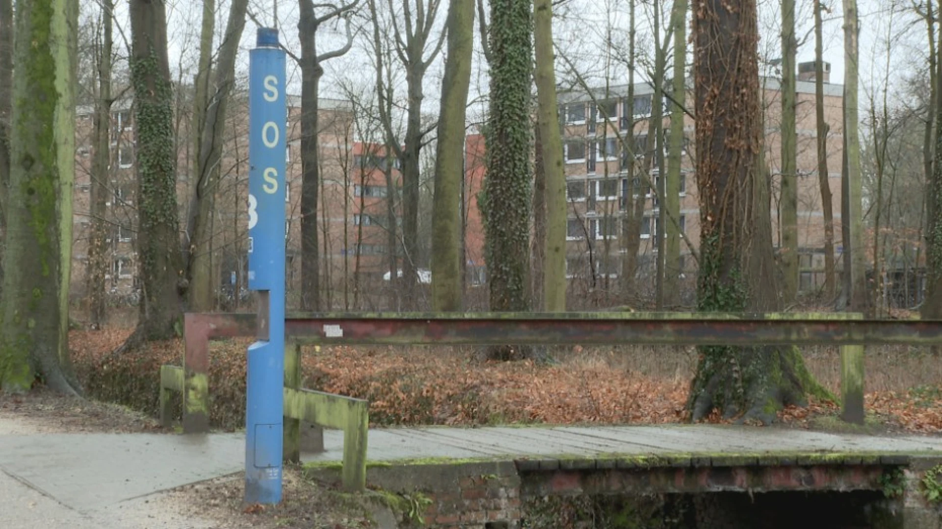 Hoofdafbeelding voor artikel KU Leuven haalt bekende blauwe…