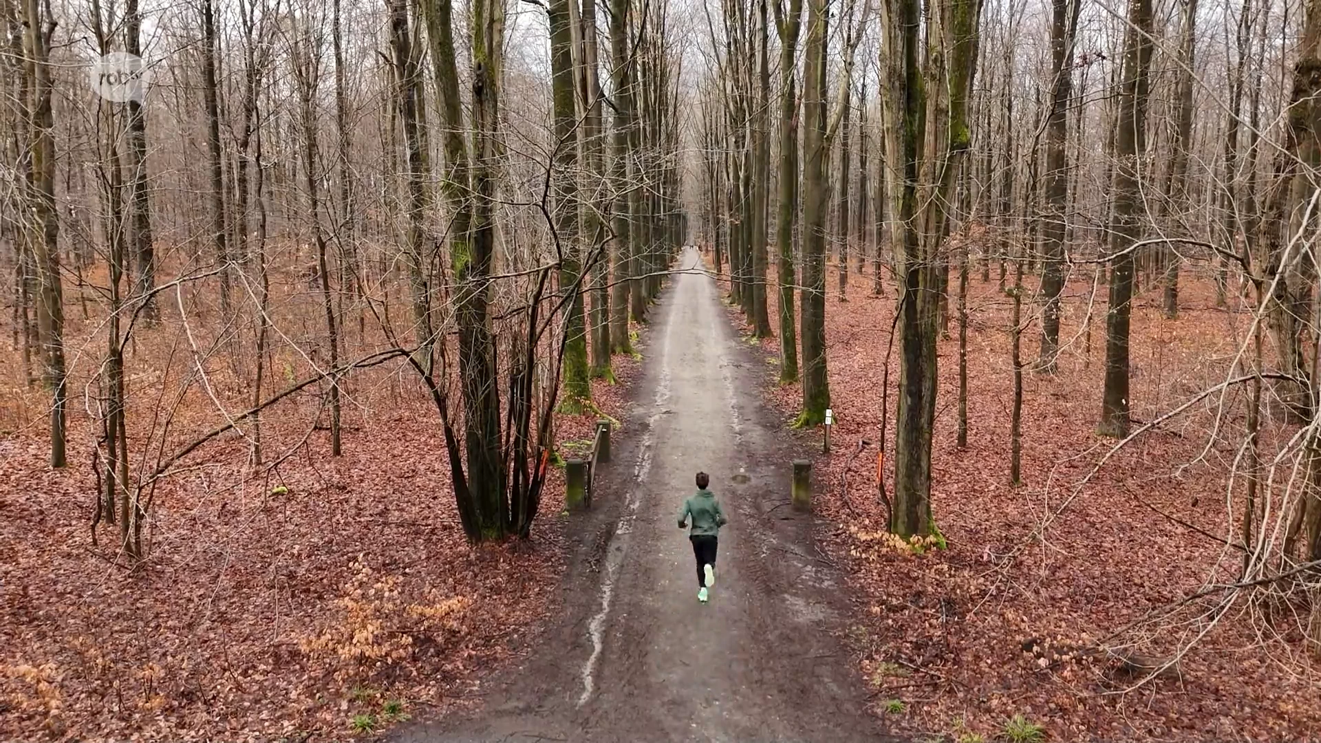 Hoofdafbeelding voor artikel Michael Somers blikt een jaar…