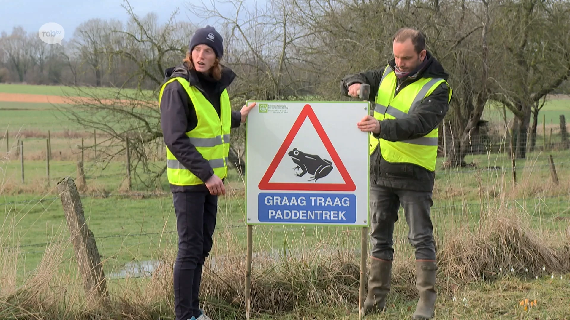 Hoofdafbeelding voor artikel Jaarlijkse paddentrek start…