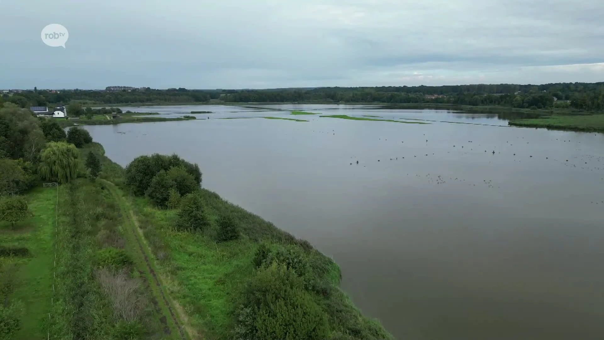 Hoofdafbeelding voor artikel Om de acht jaar wordt een…